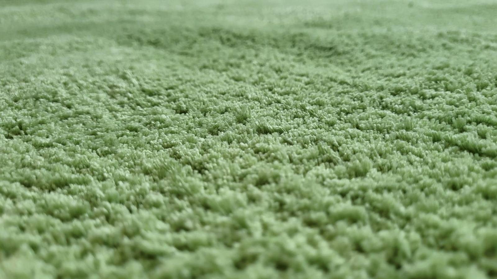 Rug Studios Teppich SHAGGY ELEGANCE, Rechteckig, Höhe: 25 mm, modern, 65 x 130 cm, Grün