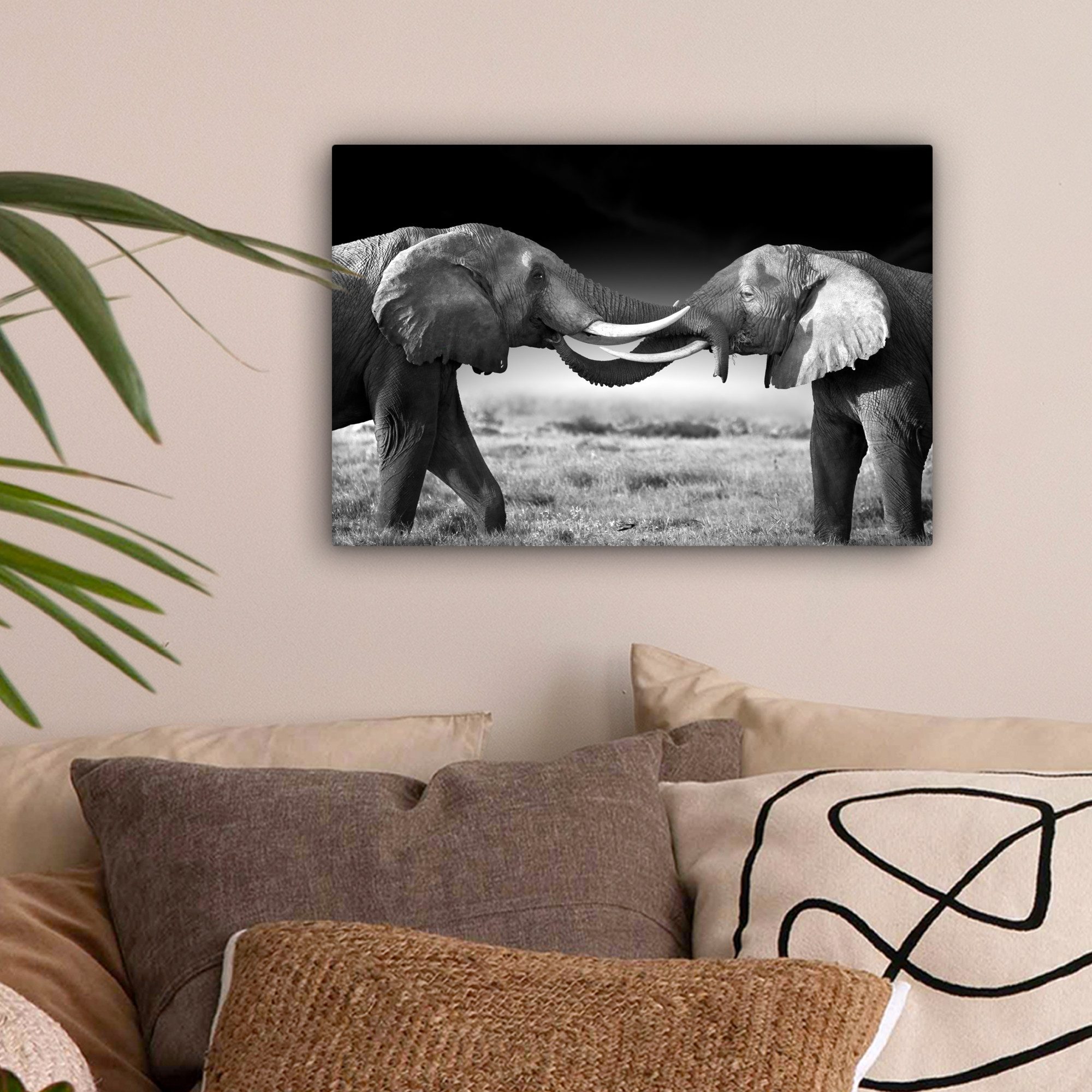 OneMillionCanvasses® Leinwandbild Elefant - Tiere - Schwarz und weiß - Port günstig online kaufen