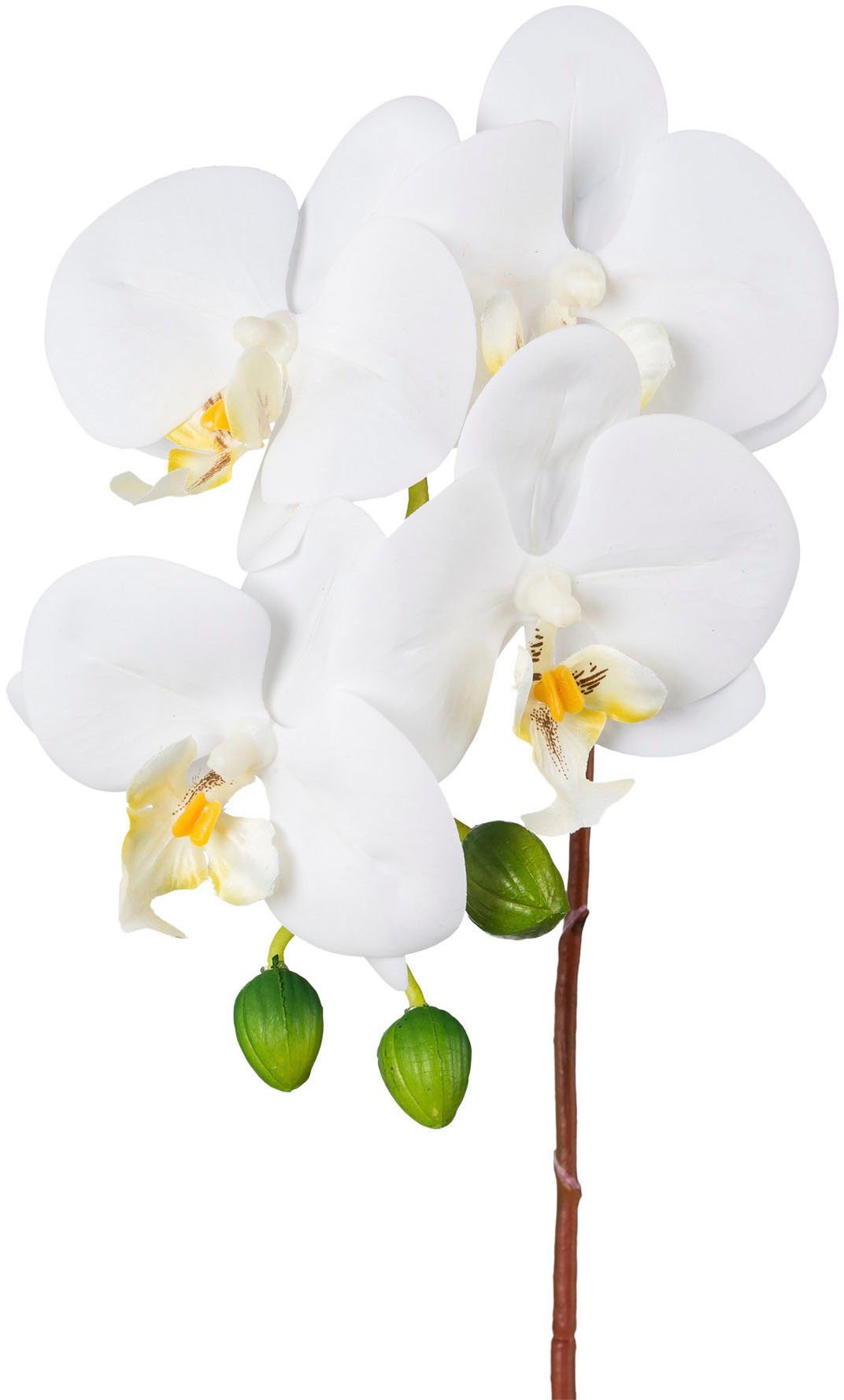 Kunstorchidee Orchidee Phalaenopsis Orchidee, Creativ green, Höhe 44 cm, mit real-touch-Blüten