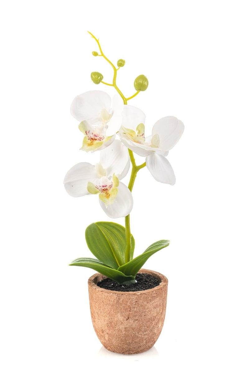 Kunstorchidee Deko Orchidee LEONISA im Terrakottatopf, weiß, 20cm Orchidee (Orchidee phalaenopsis), artplants, Höhe 20.0 cm