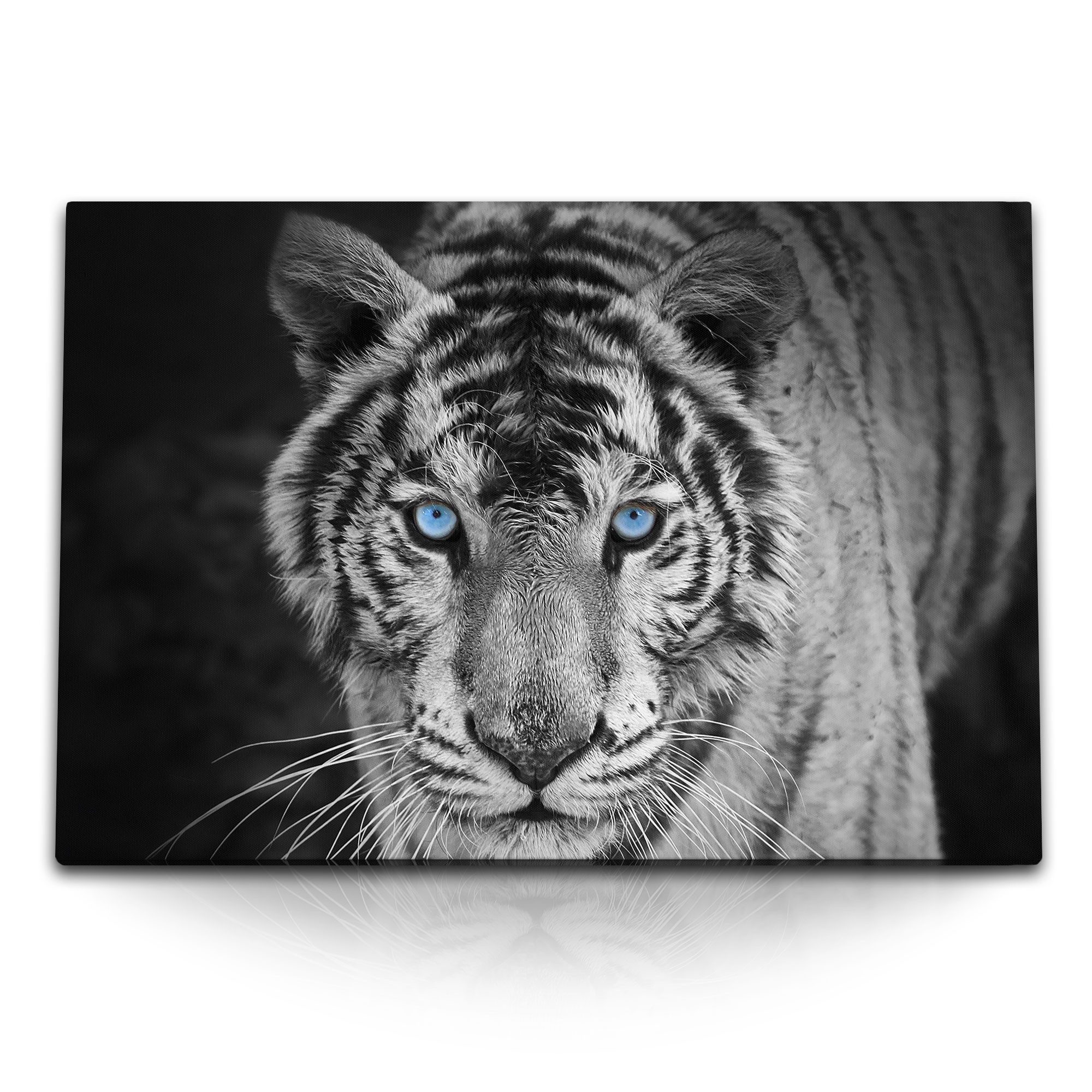 Leinwandbild 120x80cm Wandbild auf Leinwand Tiger mit blauen Augen Raubkatze Tierfo