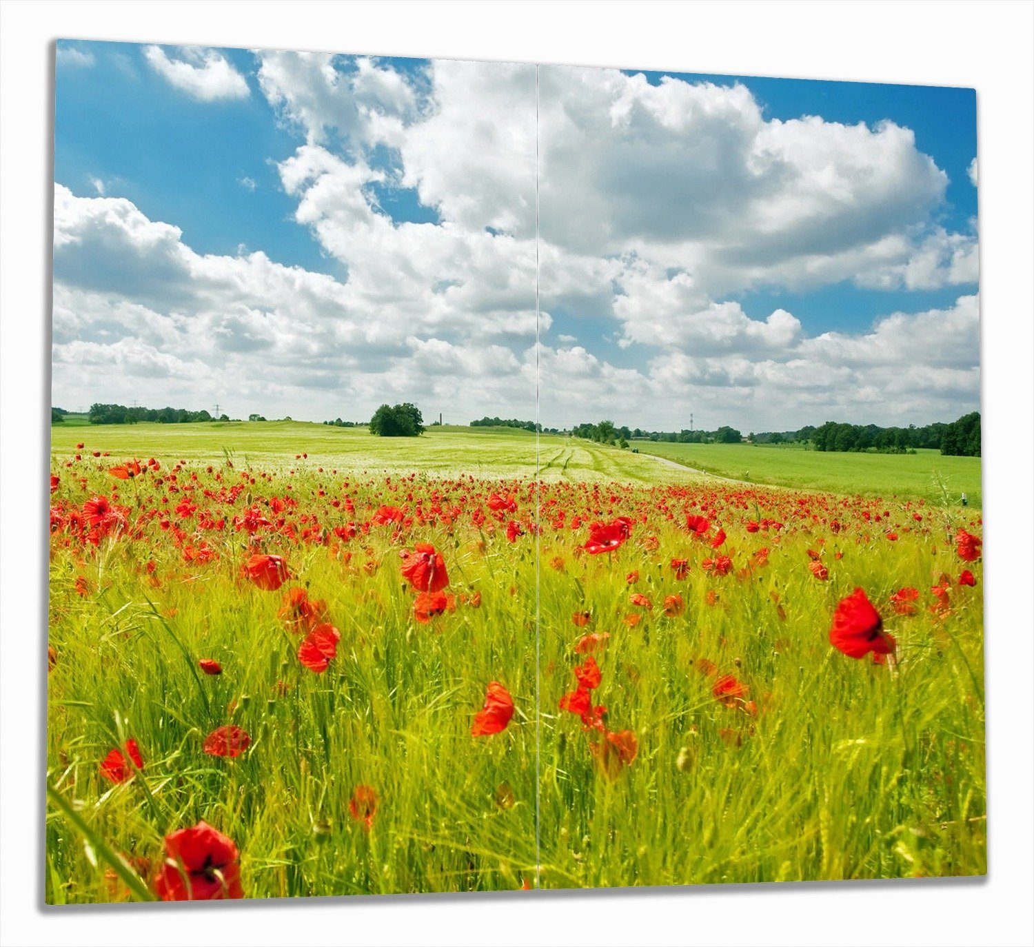 Herd-Abdeckplatte 2 Noppen), Wiese Mohnblumen, Grüne 5mm (Glasplatte, verschiedene Wallario tlg., ESG-Sicherheitsglas, mit inkl. Größen