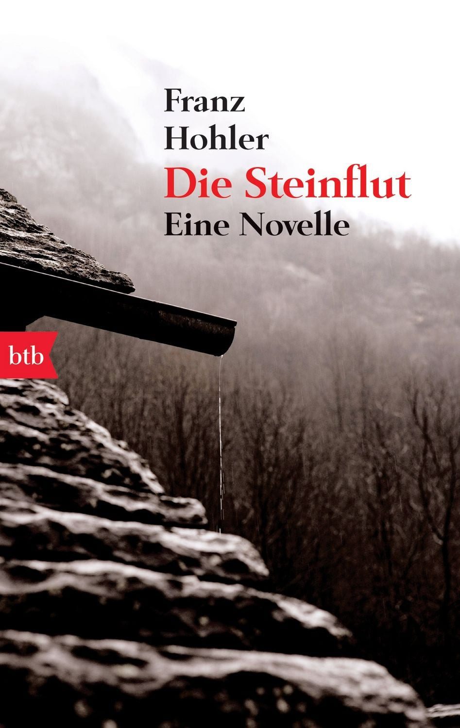 Die Steinflut / Franz Hohler