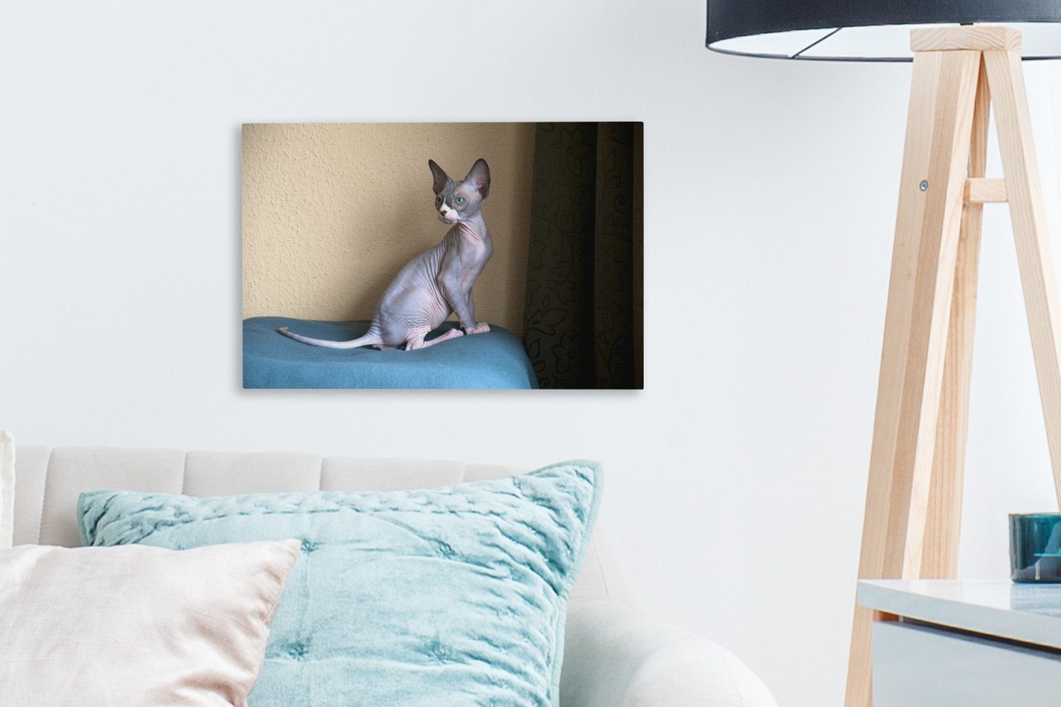 Wanddeko, 30x20 Ein St), Wandbild sitzendes Leinwandbilder, Leinwandbild Aufhängefertig, cm OneMillionCanvasses® (1 Sphynx-Kätzchen,