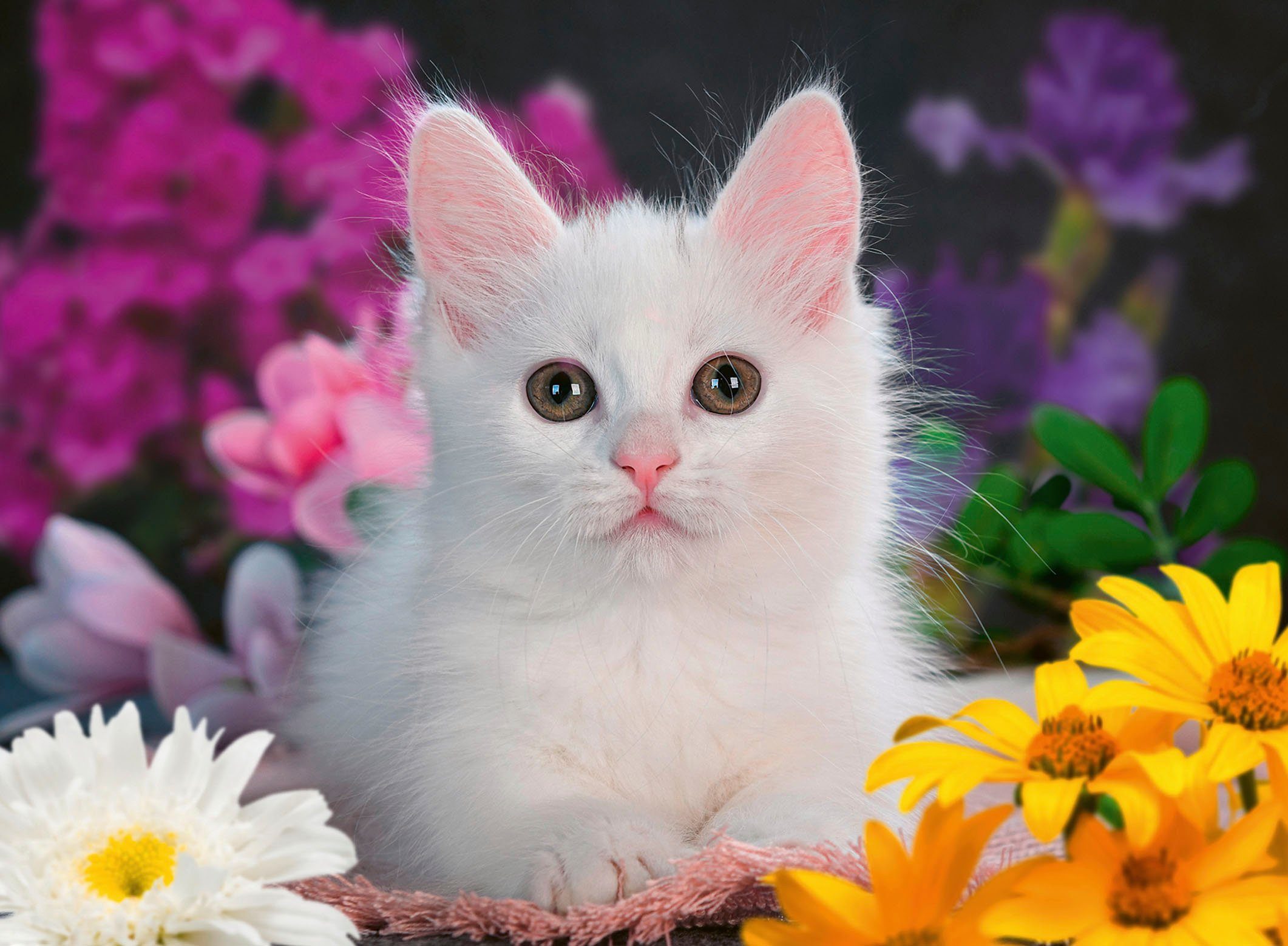 Ravensburger Puzzle Glitzerkatze, 100 Puzzleteile, Made in Germany günstig online kaufen