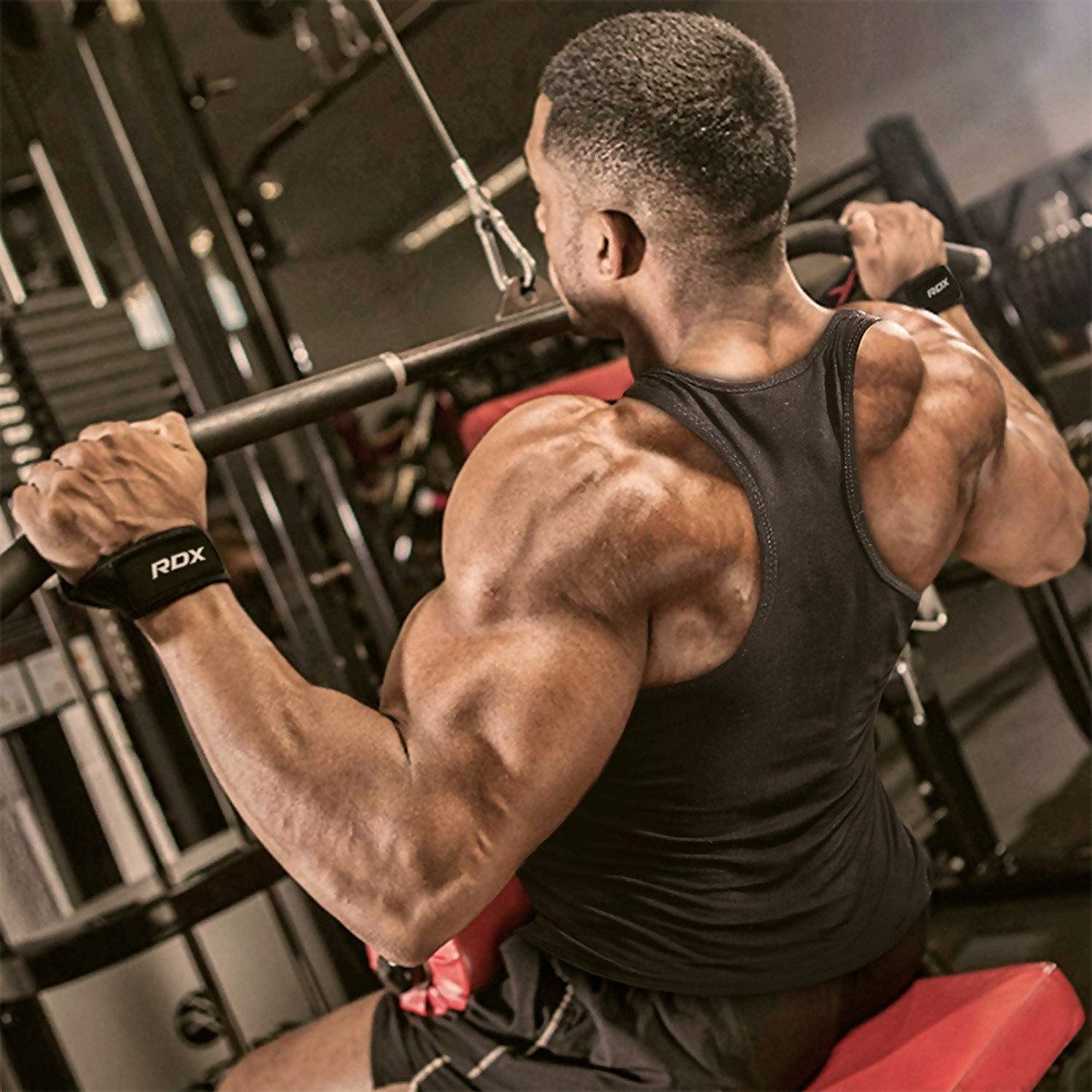 RDX Zughilfe S4 Gym Zughilfen