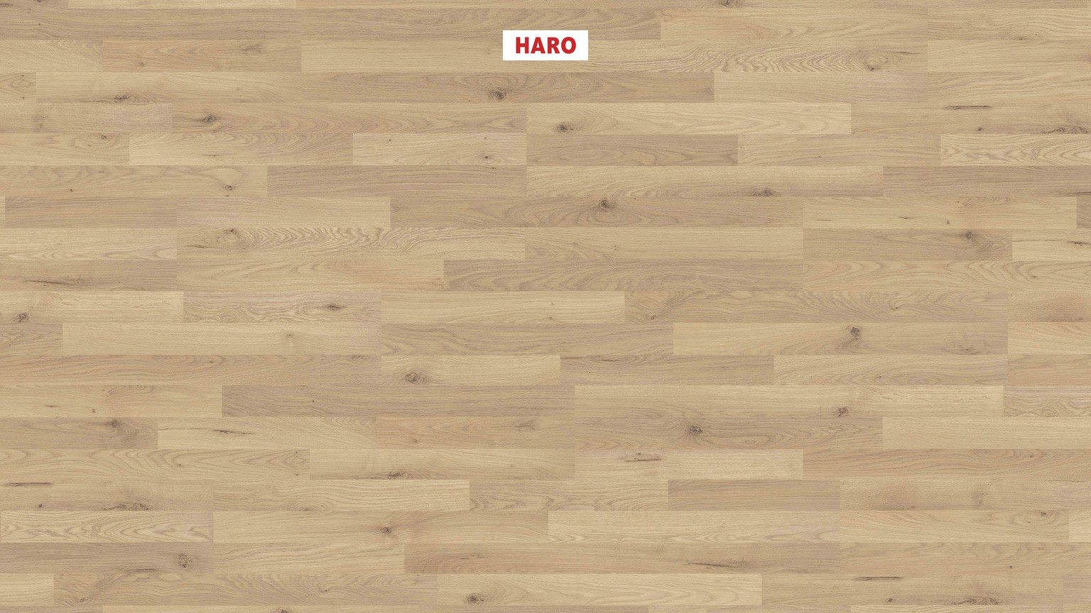 HARO Laminat HARO Sonderedition NKL 31 – NKL 23/31, HARO Sonderedition NKL 31: NKL 23/31