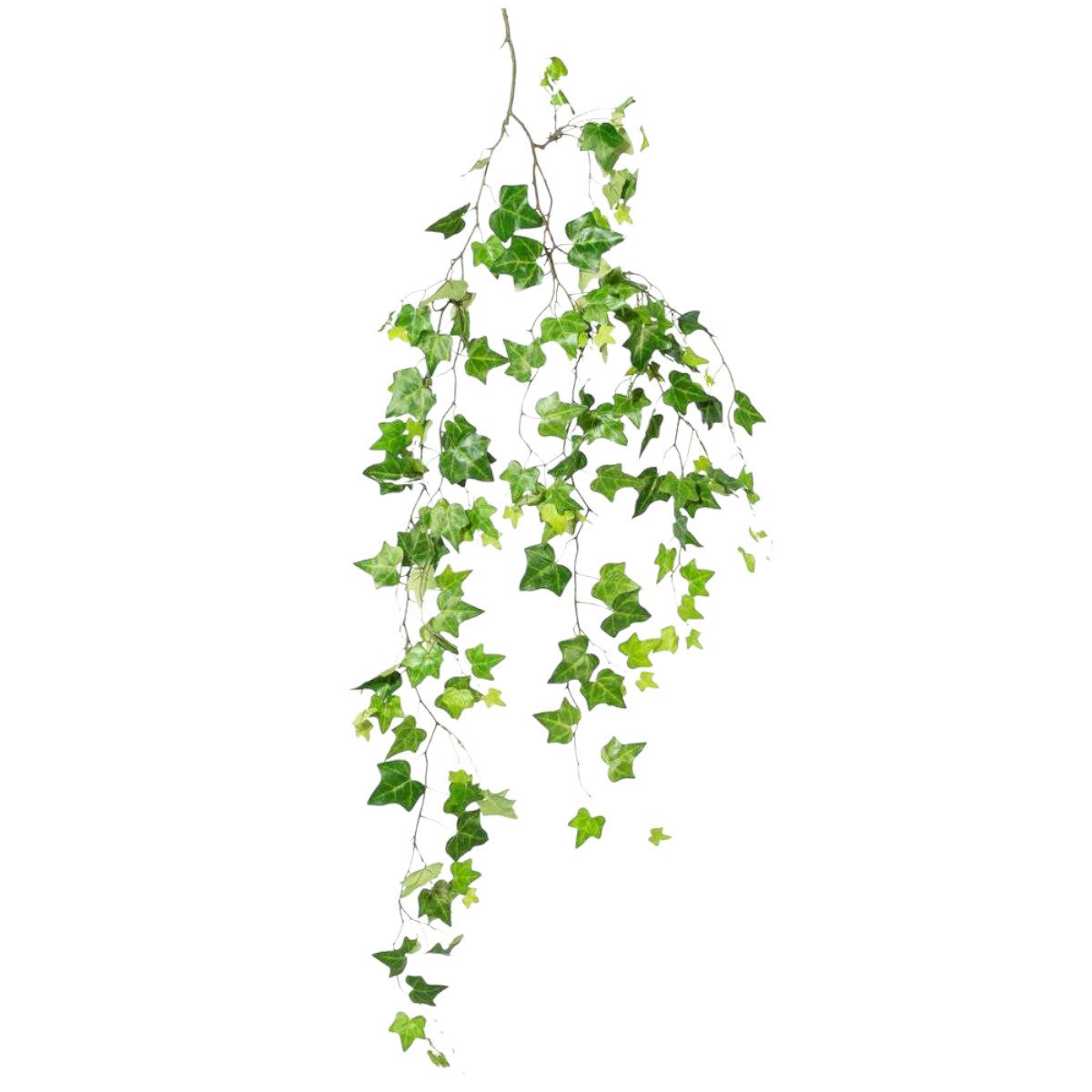 Kunstranke Künstlicher Efeu 3D EFEURANKE ca 147cm., Gasper, Höhe 147.00 cm