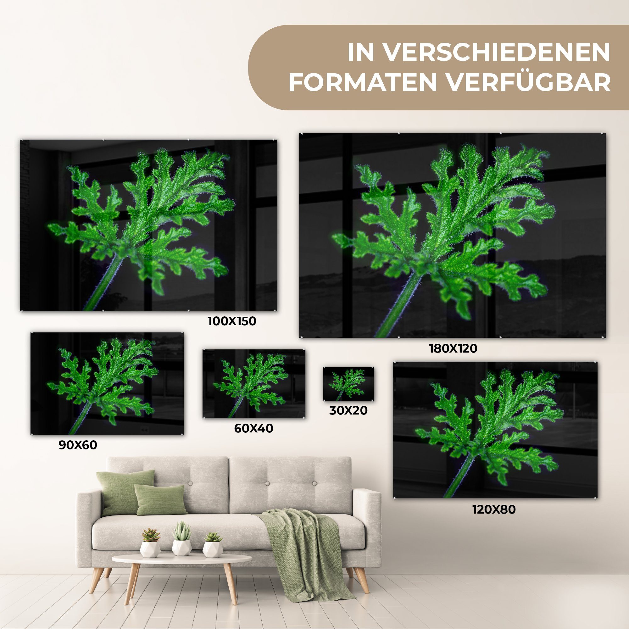 (1 St), auf Acrylglasbild Acrylglasbilder & grüne Hintergrund, MuchoWow Einzelne Schlafzimmer Blätter Wohnzimmer schwarzem