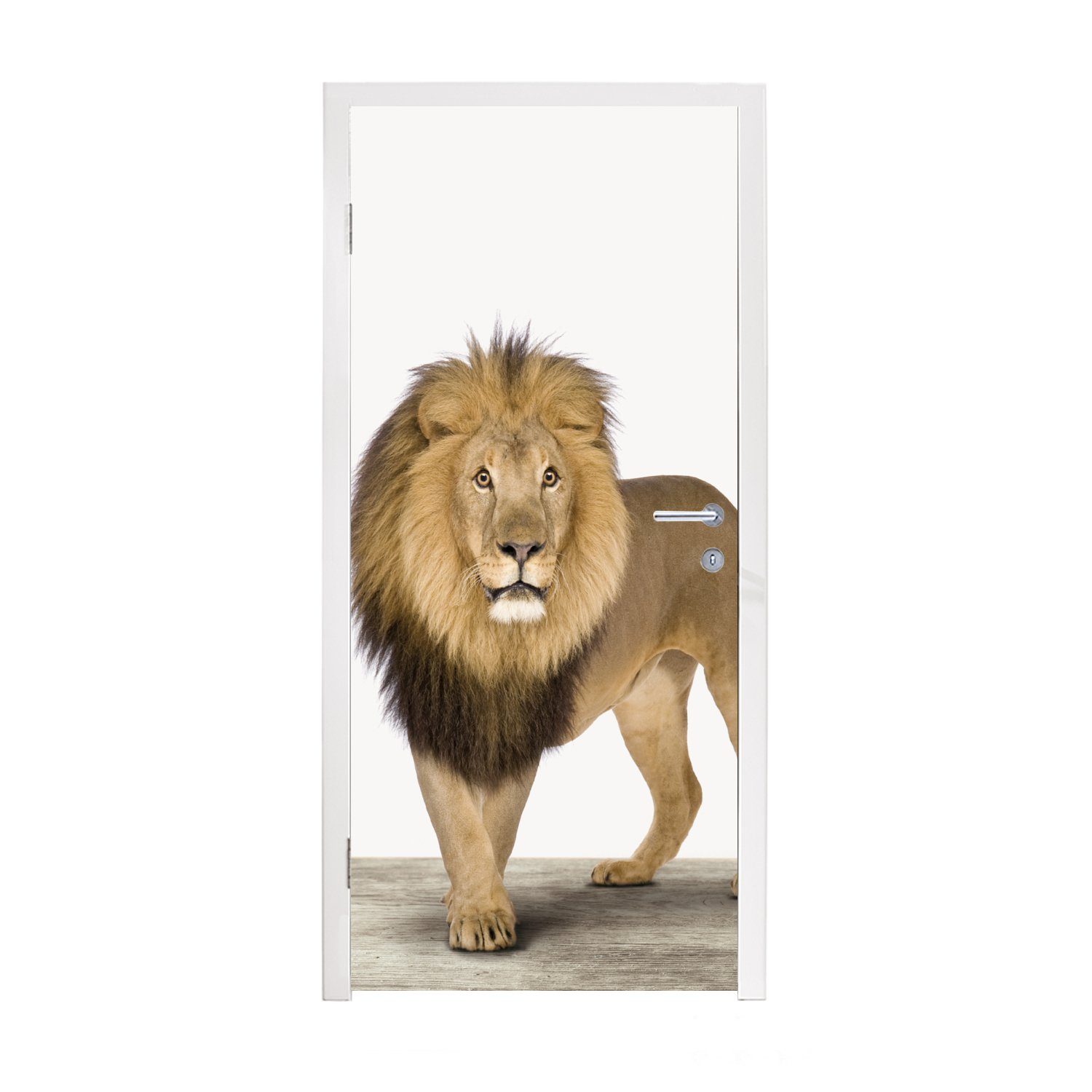MuchoWow Türtapete Jungen - Löwe - Tiere - Kinder - Mädchen, Matt, bedruckt, (1 St), Fototapete für Tür, Türaufkleber, 75x205 cm