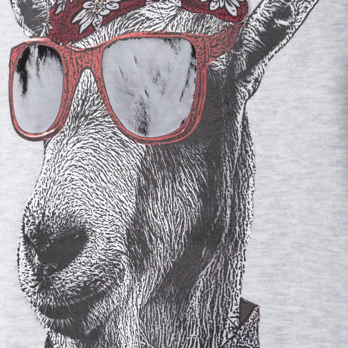 Almgwand Kurzarmshirt Oisbergalm