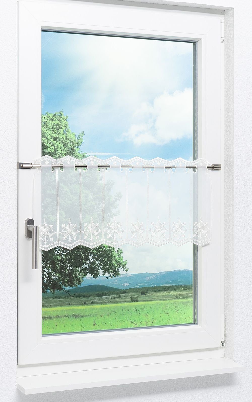 Plauener Spitze® Scheibengardine Windrose (1 St), transparent, HxB 30x40.5c günstig online kaufen