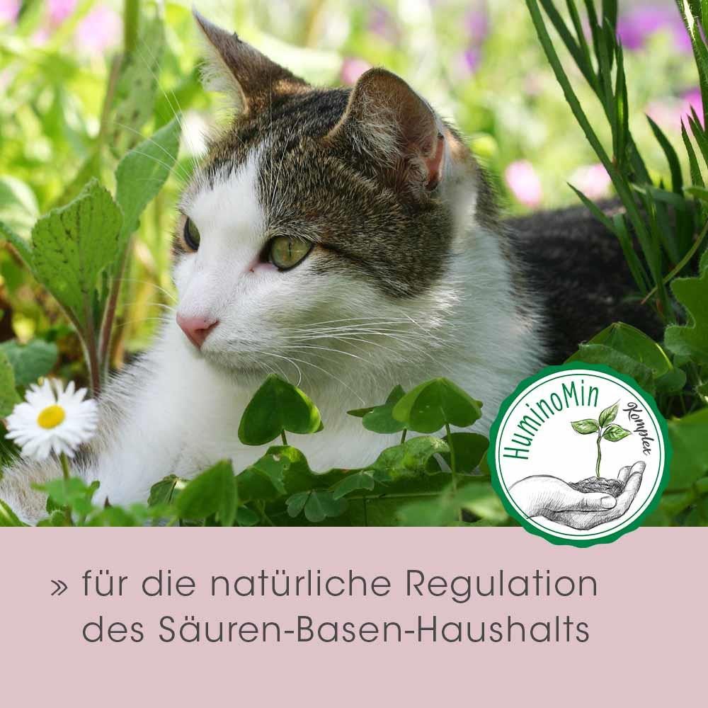 cdVet feliTATZ Magenschutz, Nahrungsergänzungsmittel für: Katzen