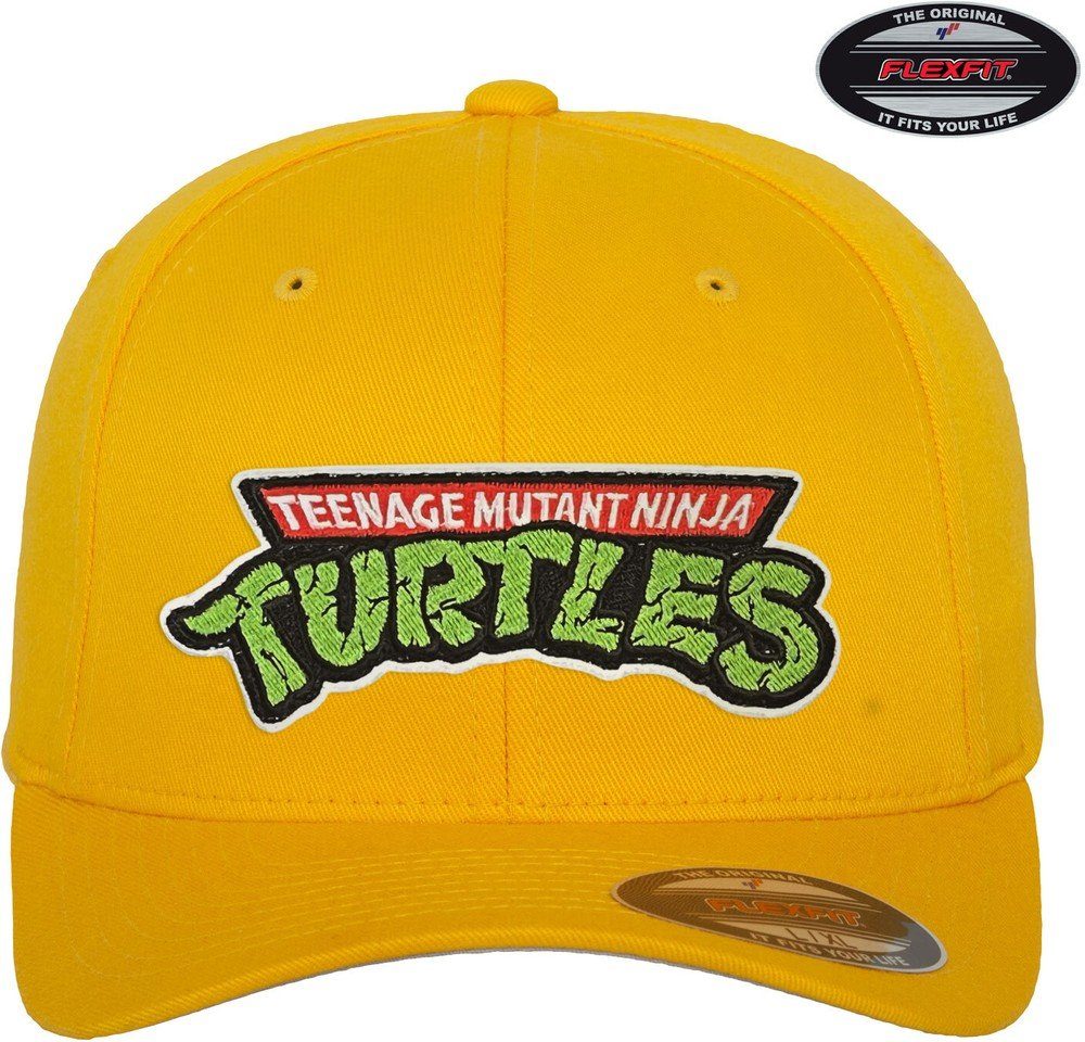 Teenage Mutant Turtles Snapback Ninja Cap