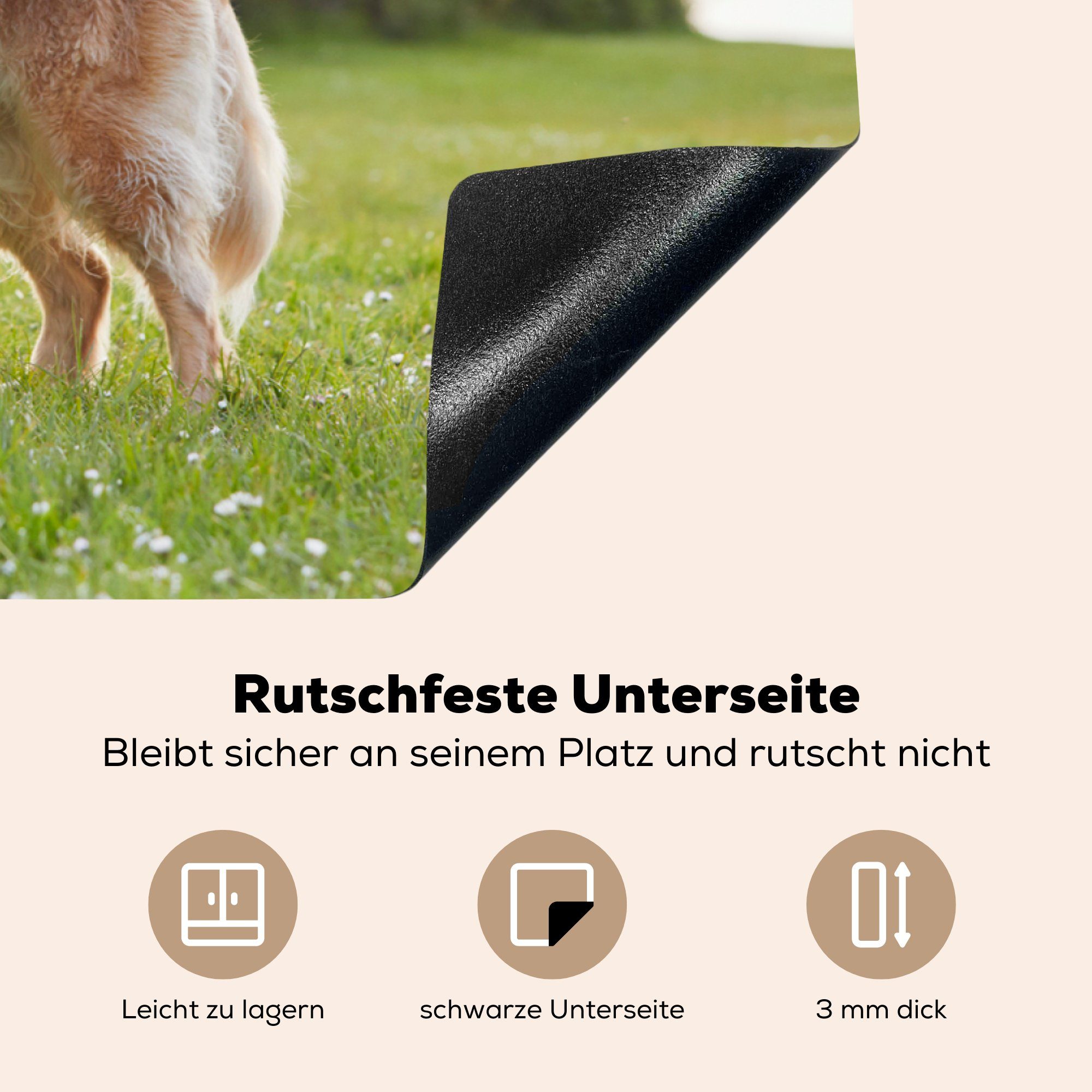 81x52 die tlg), Vinyl, Induktionskochfeld cm, - MuchoWow Ceranfeldabdeckung Hund - Park (1 Gras, für Herdblende-/Abdeckplatte küche, Schutz