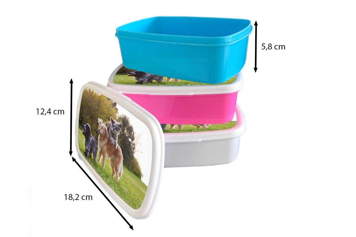 Mädchen, - Gras, Erwachsene, MuchoWow (2-tlg), Hund für Lunchbox Brotbox Snackbox, Brotdose Kunststoff rosa Park - Kunststoff, Kinder,