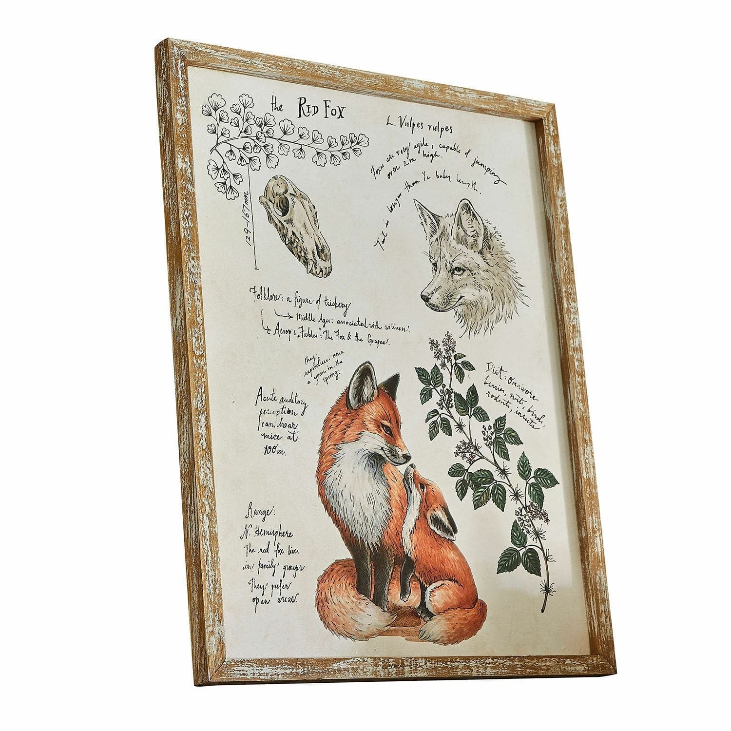 Mirabeau Wanddekoobjekt Dekoboard Survie bunt günstig online kaufen