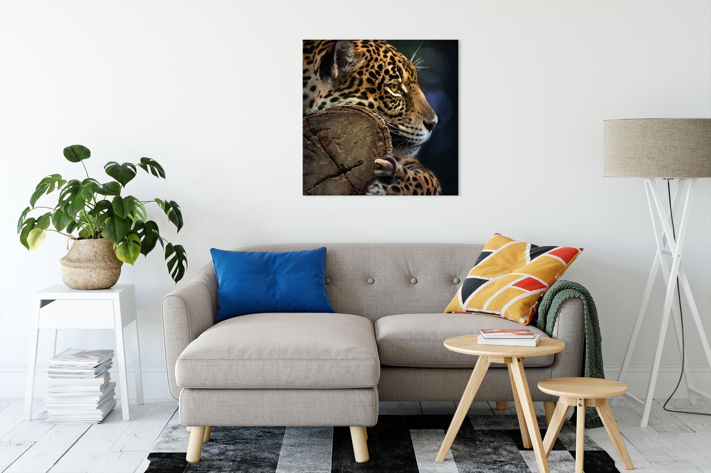 Pixxprint Leinwandbild Wunderschöner Leopard, Wunderschöner fertig inkl. St), (1 bespannt, Leinwandbild Zackenaufhänger Leopard