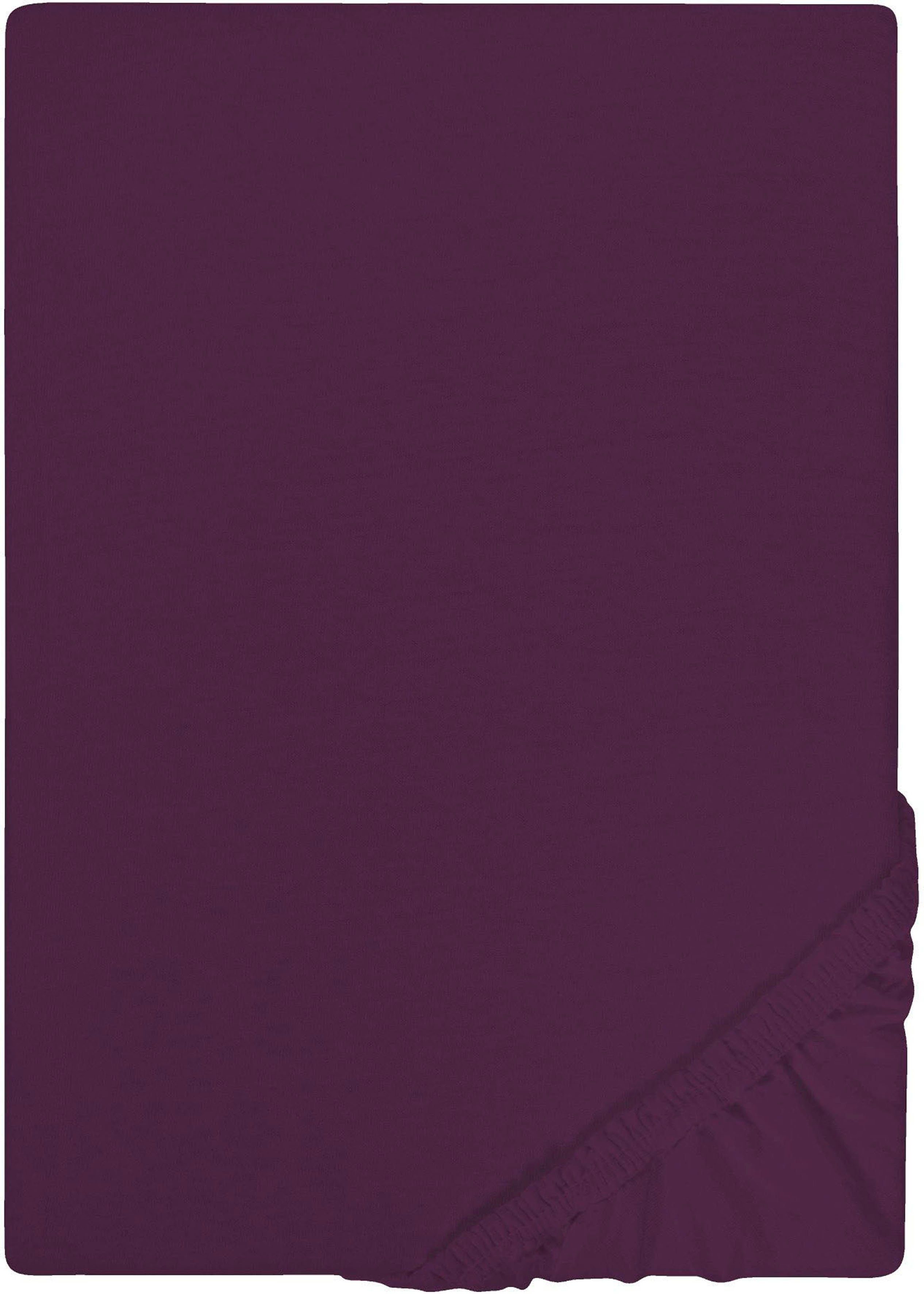 Castell - Markenbettwäsche Spannbettlaken Jersey in günstig online kaufen