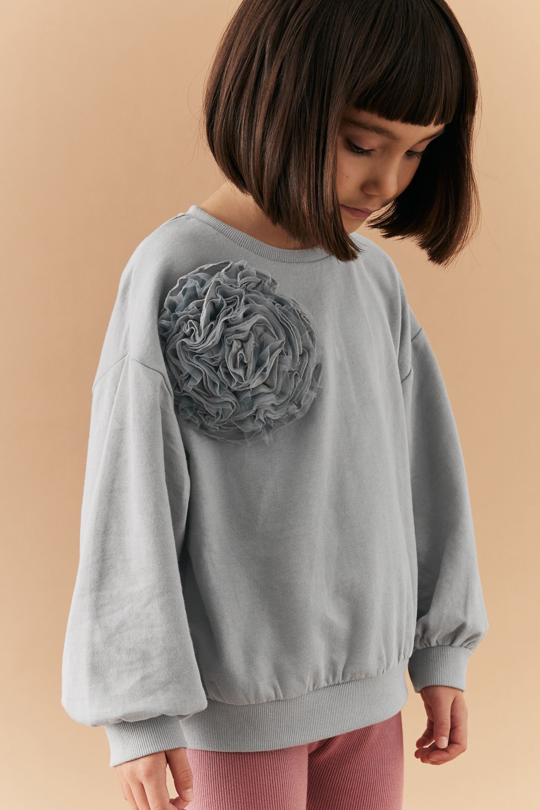 Sweatshirt mit Ansteckblume Floral (1-tlg) Sweatshirt Grey Next