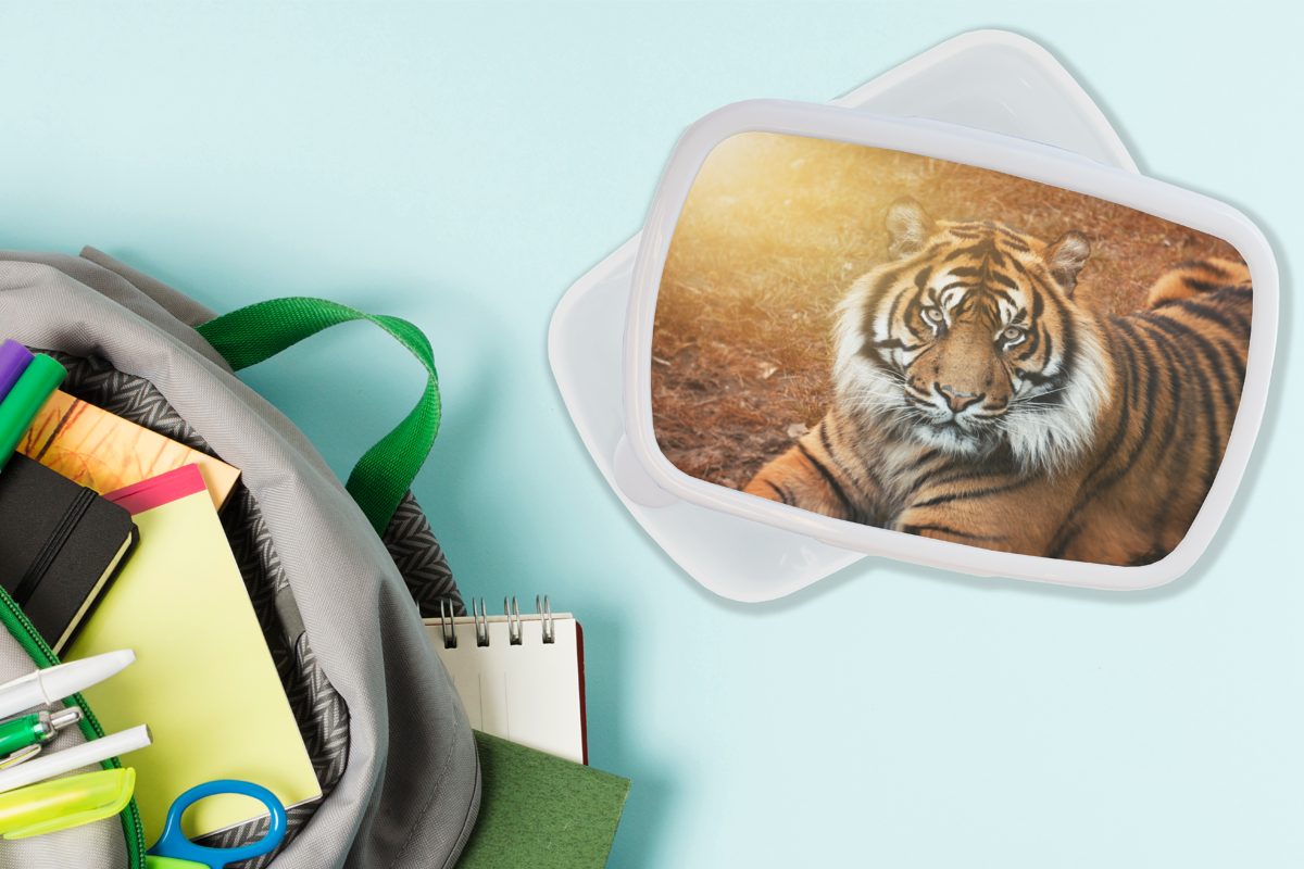 Jungs und Brotbox Sonne, Kinder Lunchbox Porträt Brotdose, für und - für Mädchen Tiger MuchoWow - (2-tlg), Kunststoff, Erwachsene, weiß
