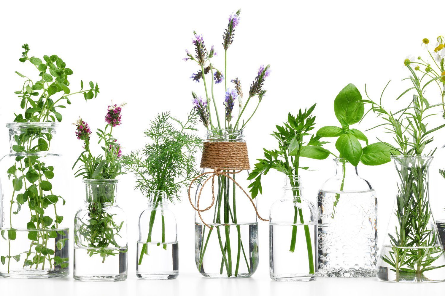 queence Küchenrückwand Kräuter Blumen in Gläser - Spritzschutz Wandschutz für Herd & Spüle, (1-tlg), inkl. Klebepads und Saugnäpfen für eine flexible Befestigung