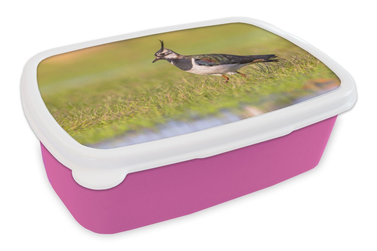 MuchoWow Lunchbox Vogel - Gras - Natur - Tiere - Kiebitz, Kunststoff, (2-tlg), Brotbox für Erwachsene, Brotdose Kinder, Snackbox, Mädchen, Kunststoff rosa