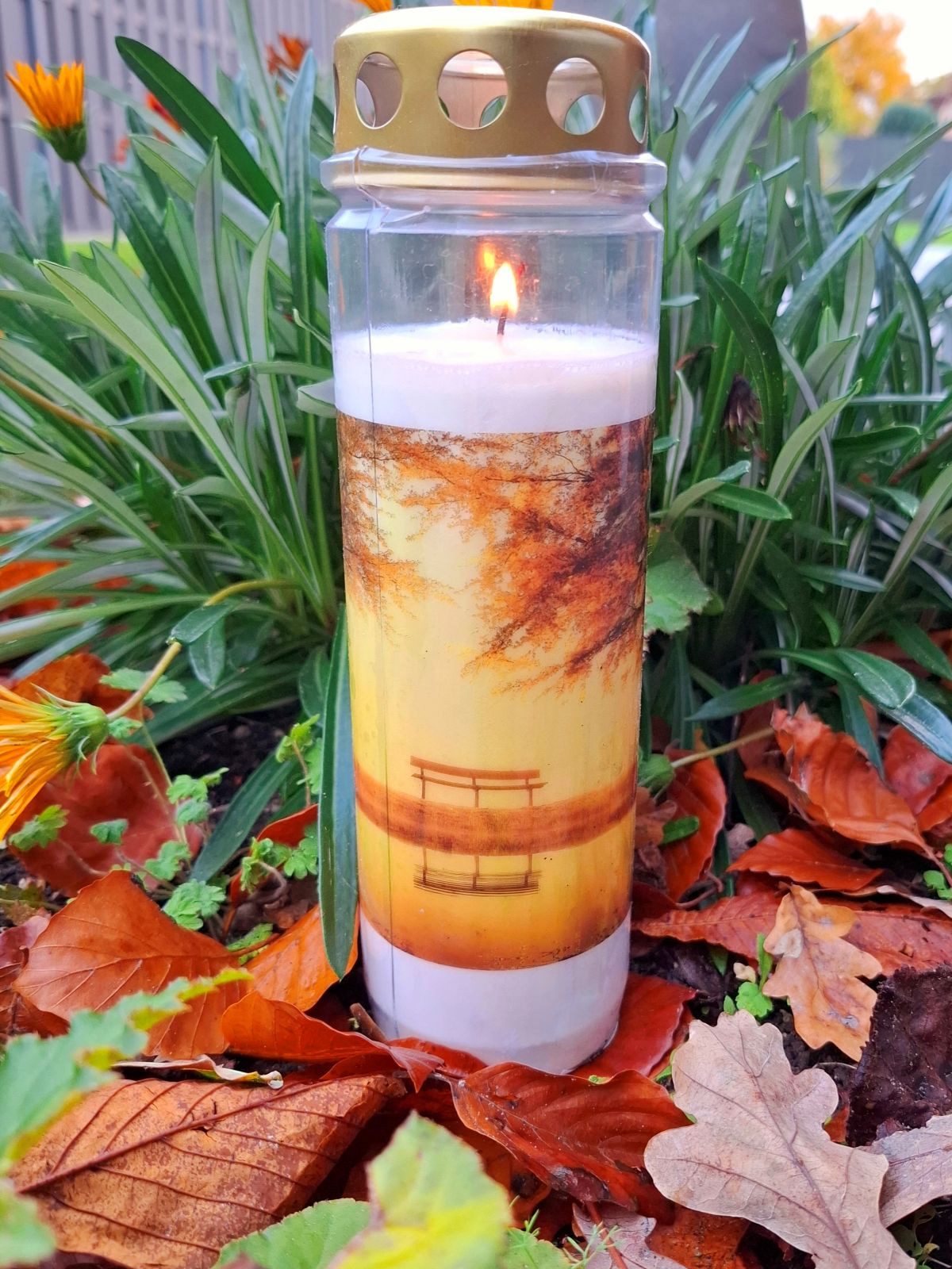 Bolsius Grabkerze Grablicht, Gedenklicht, Grabschmuck, große Trauerkerze mit Bild (1-tlg., Grablicht ca. 90 Stunden Brenndauer), Grablicht für Friedhof