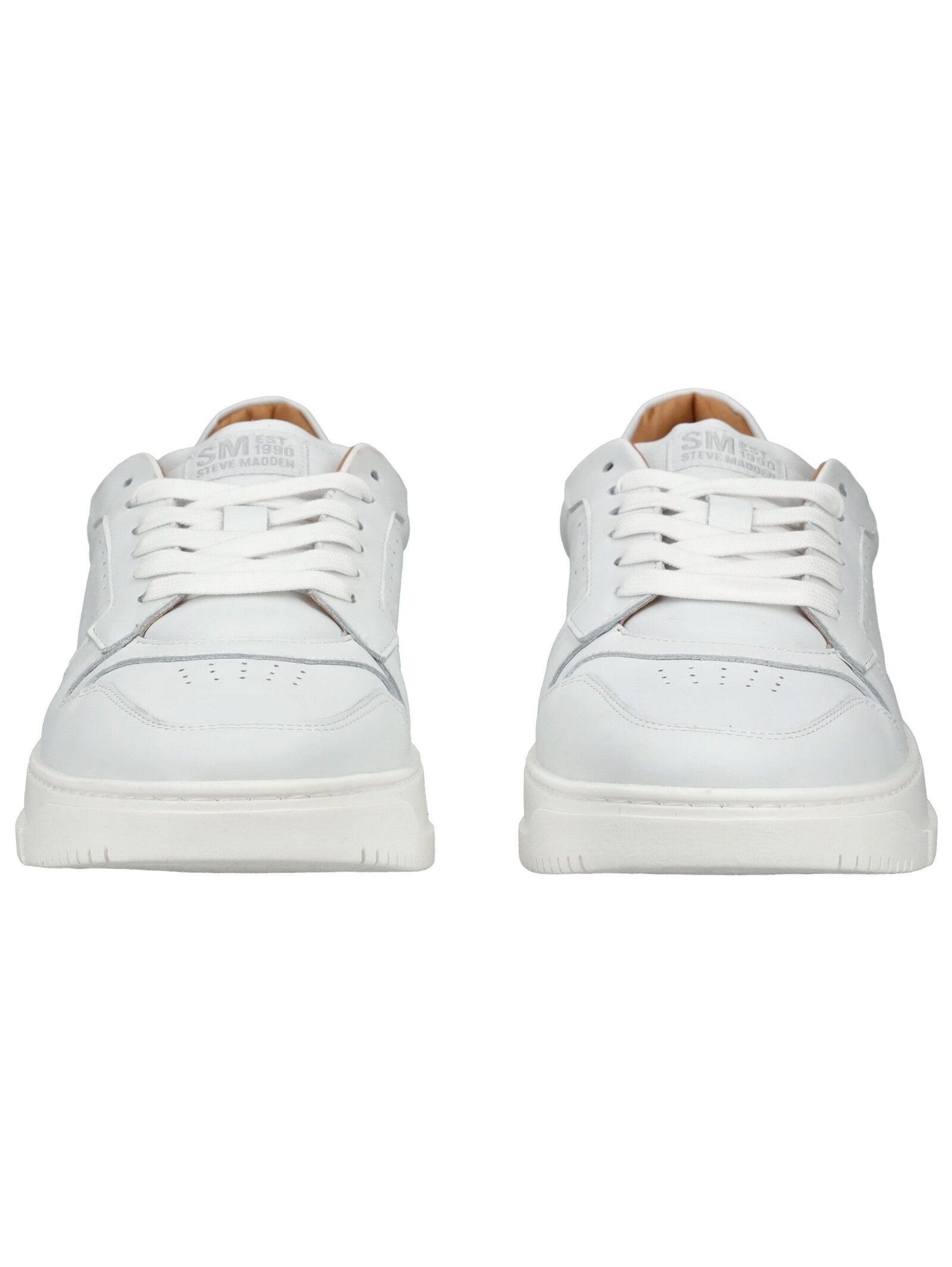 STEVE MADDEN STEVE MADDEN Sneaker Leder Sneaker