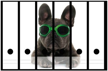 Wallario Etiketten Cooler Hund mit Sonnenbrille in grün - Französische Bulldogge, Ordnerrücken-Sticker in verschiedenen Ausführungen