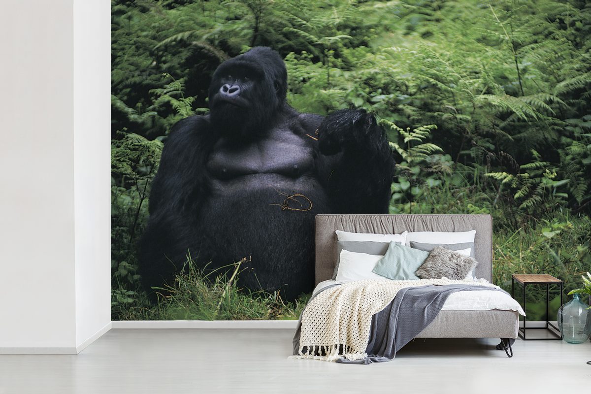 Regenwald, St), grünen Wohnzimmer, einem Matt, Fototapete Tapete Gorilla bedruckt, MuchoWow Vinyl Wallpaper (6 in Kinderzimmer, für Ein Schlafzimmer, riesiger