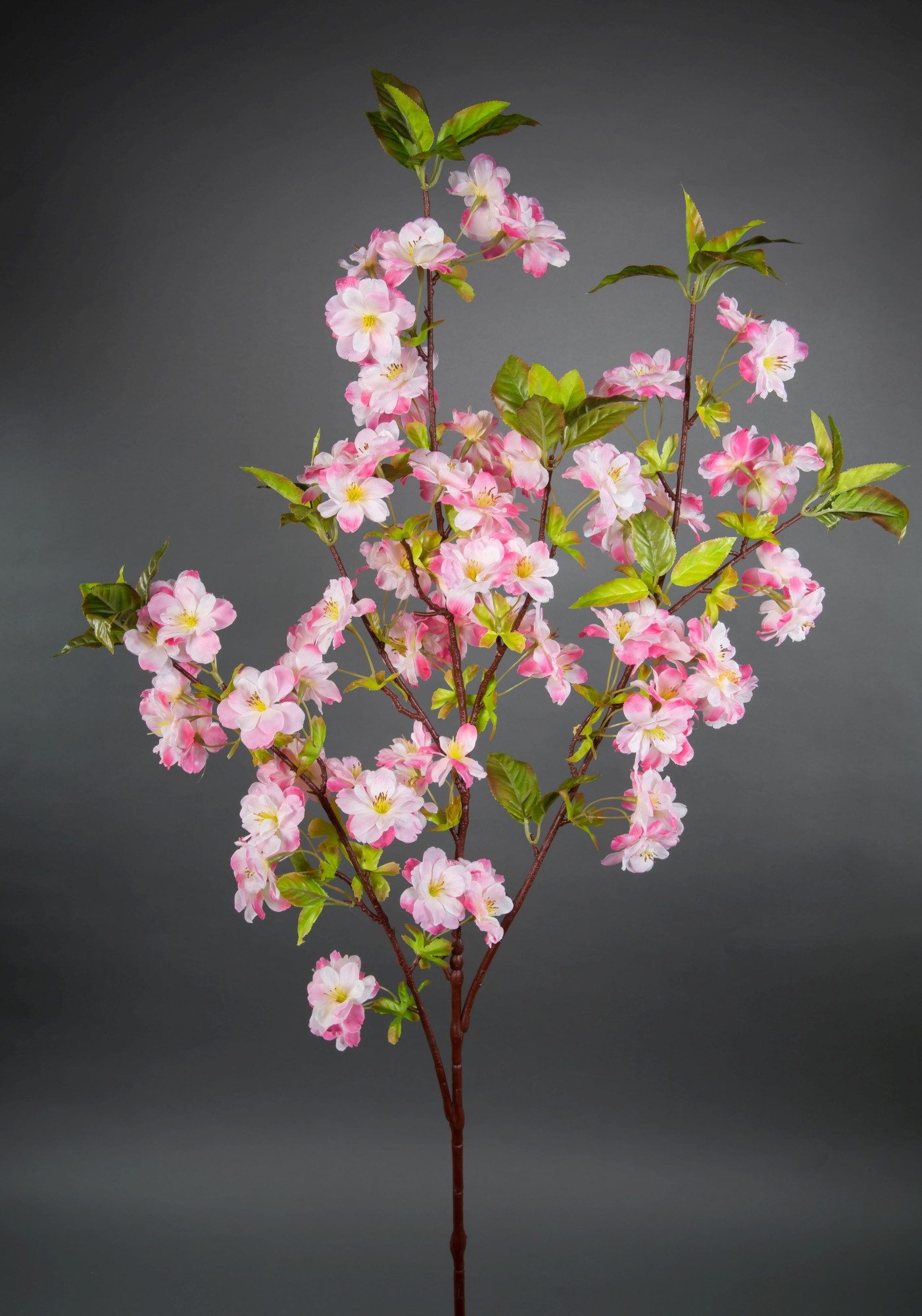Kunstblume Kirschblütenzweig 105cm ZF künstliche Kirschblüte, Seidenblumen günstig online kaufen