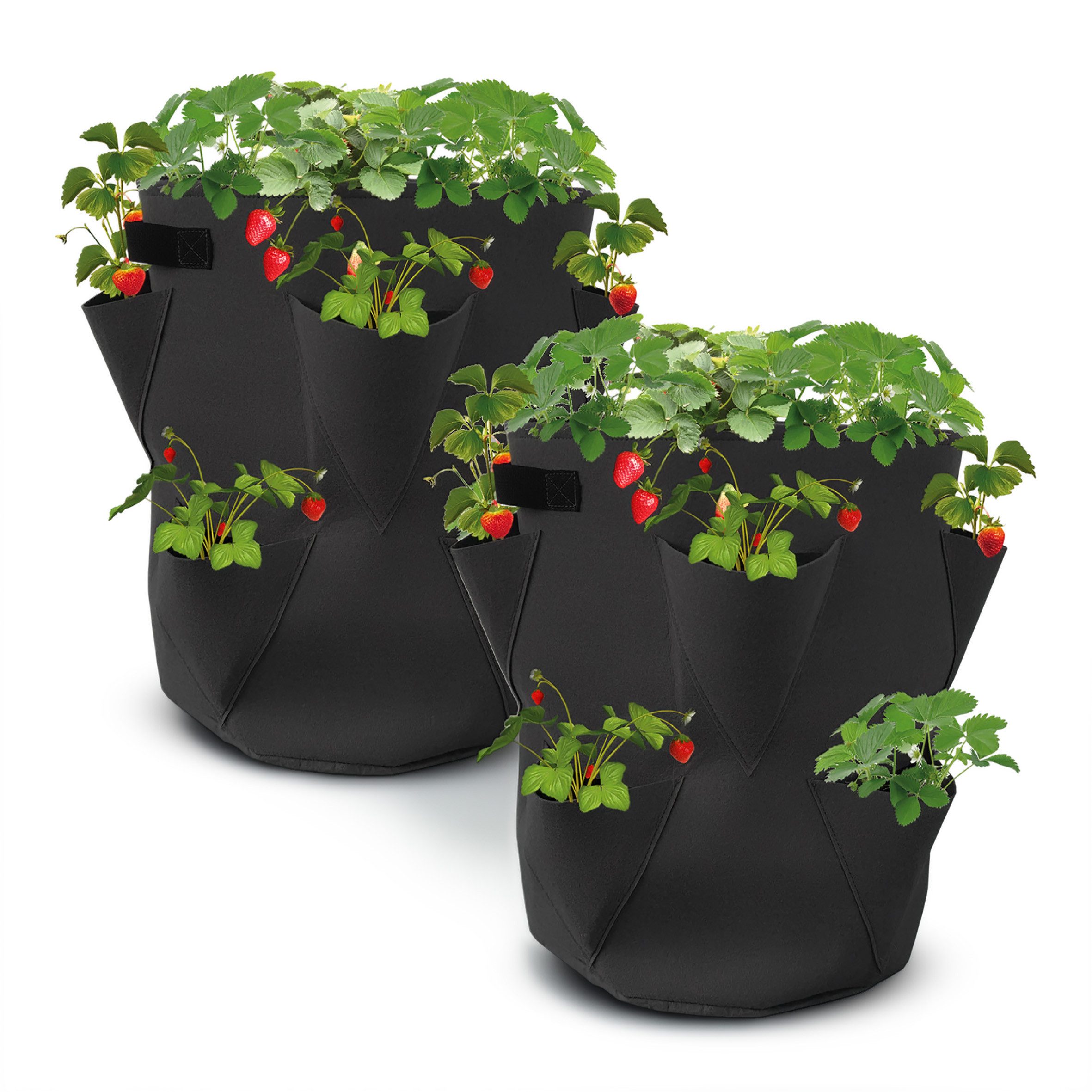 Spetebo Anzuchttopf Erdbeer Pflanzsack 2er Set aus Filz - 45 x 35 cm (Set, 2 St., Pflanzsäcke im Set), Wiederverwendbarer Filz Pflanztasche