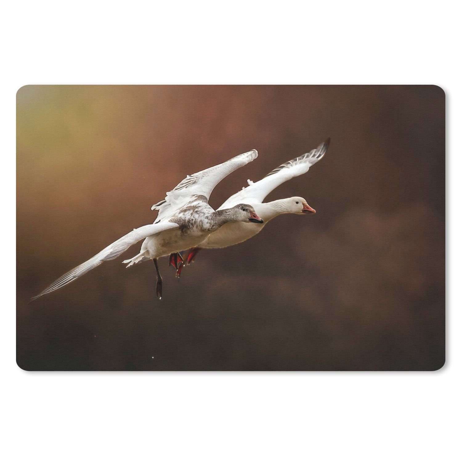 MuchoWow Mauspad (1-St), Mouse pad, Gaming Deko, PC Zubehör, 27x18 cm