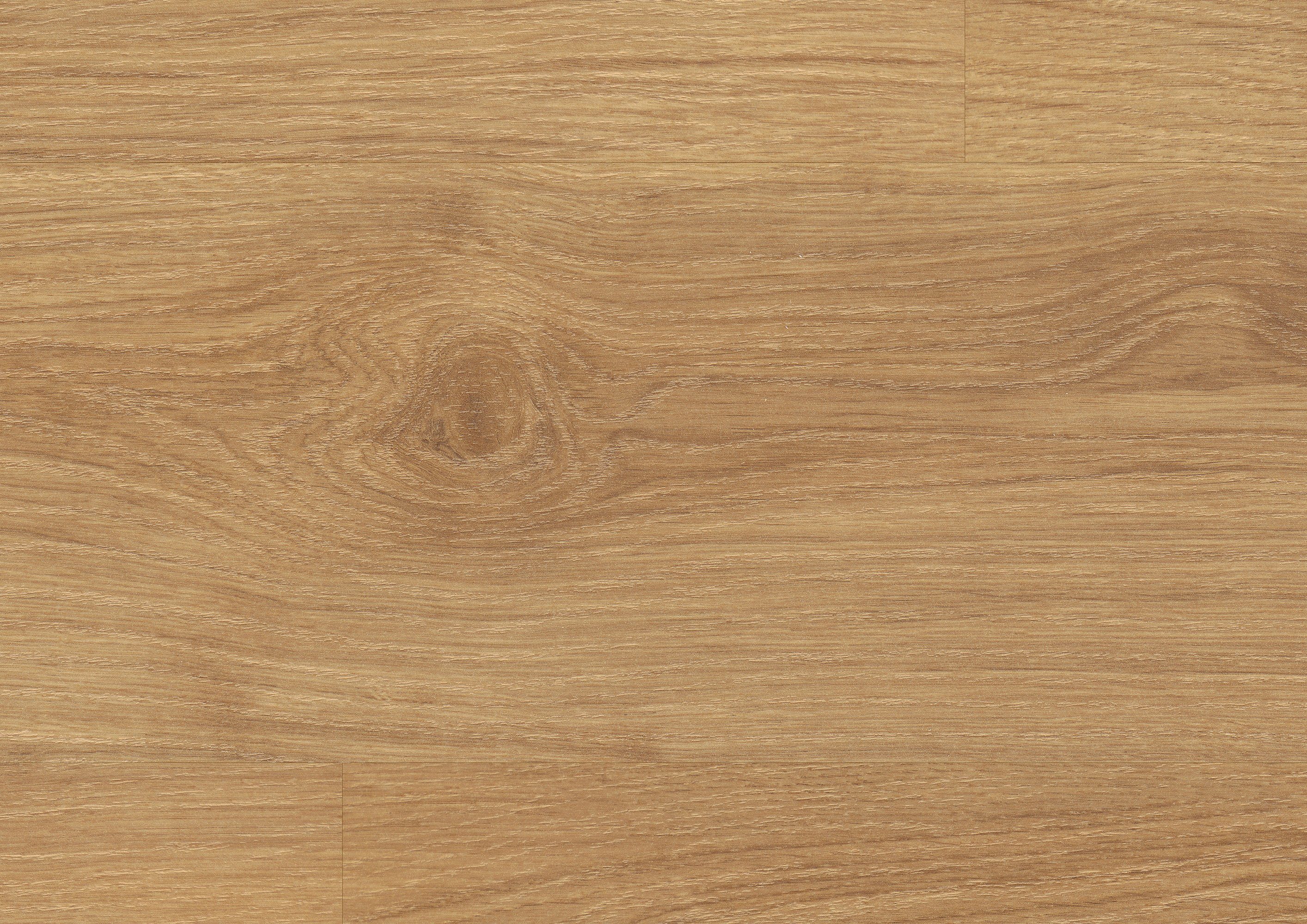 Egger Classic Laminat 8 mm Eiche Dallas Honig günstig online kaufen