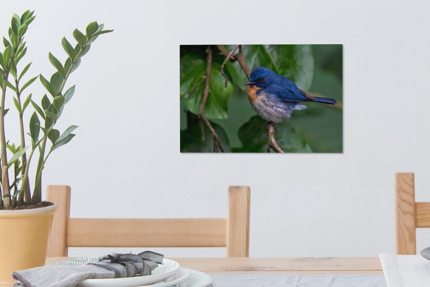 Azurblauer St), cm zwischen Aufhängefertig, Blättern, Fliegenschnäpper grünen OneMillionCanvasses® Wanddeko, (1 Leinwandbilder, den Ein Leinwandbild Wandbild 30x20