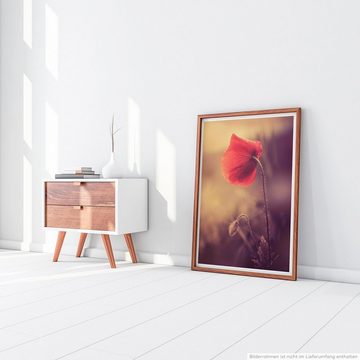 Sinus Art Poster 90x60cm Poster Naturfotografie Wilde Mohnblume im Sepia Sonnenlicht