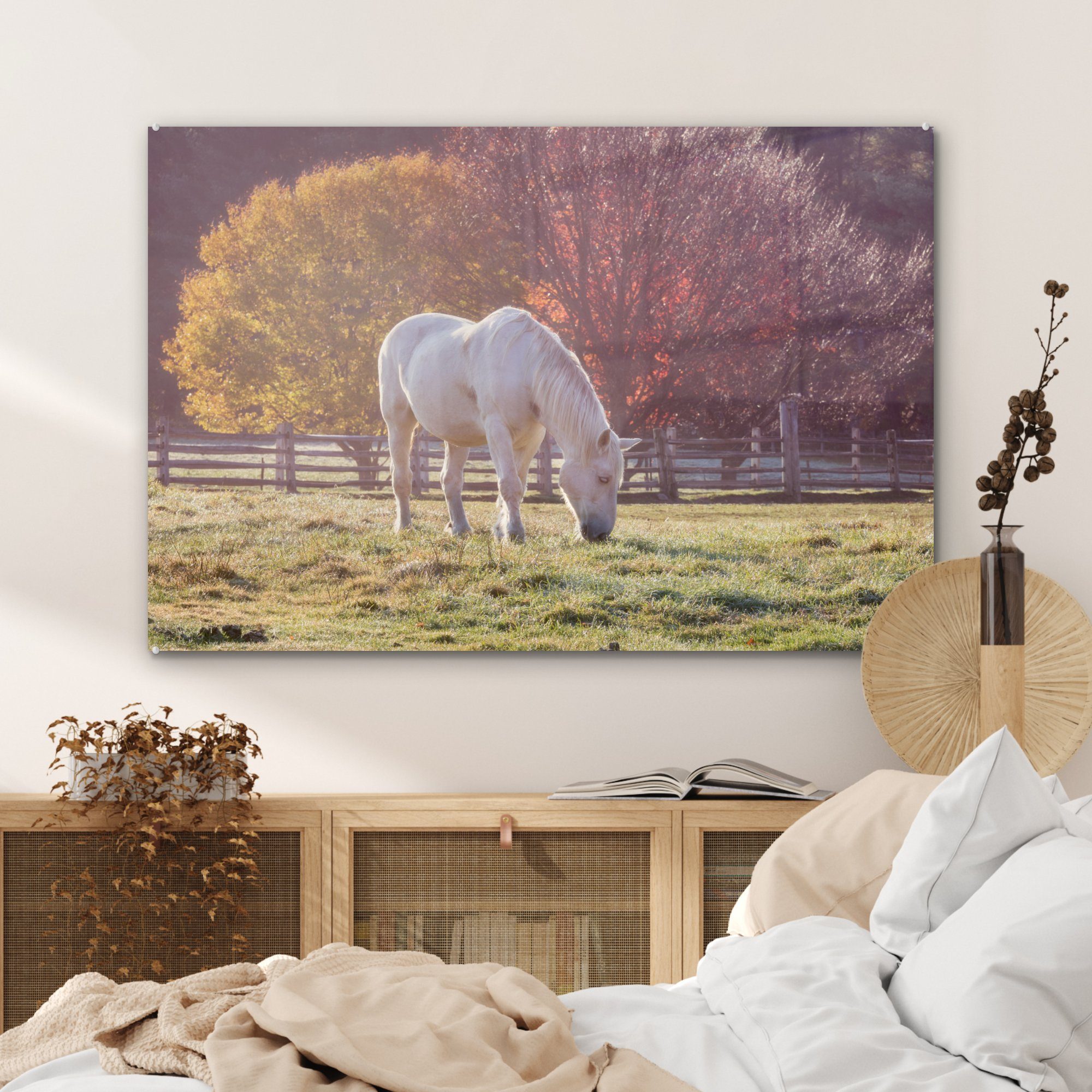 St), Vermont, Acrylglasbild in der MuchoWow Pferd (1 Acrylglasbilder auf & Wohnzimmer Schlafzimmer Wiese