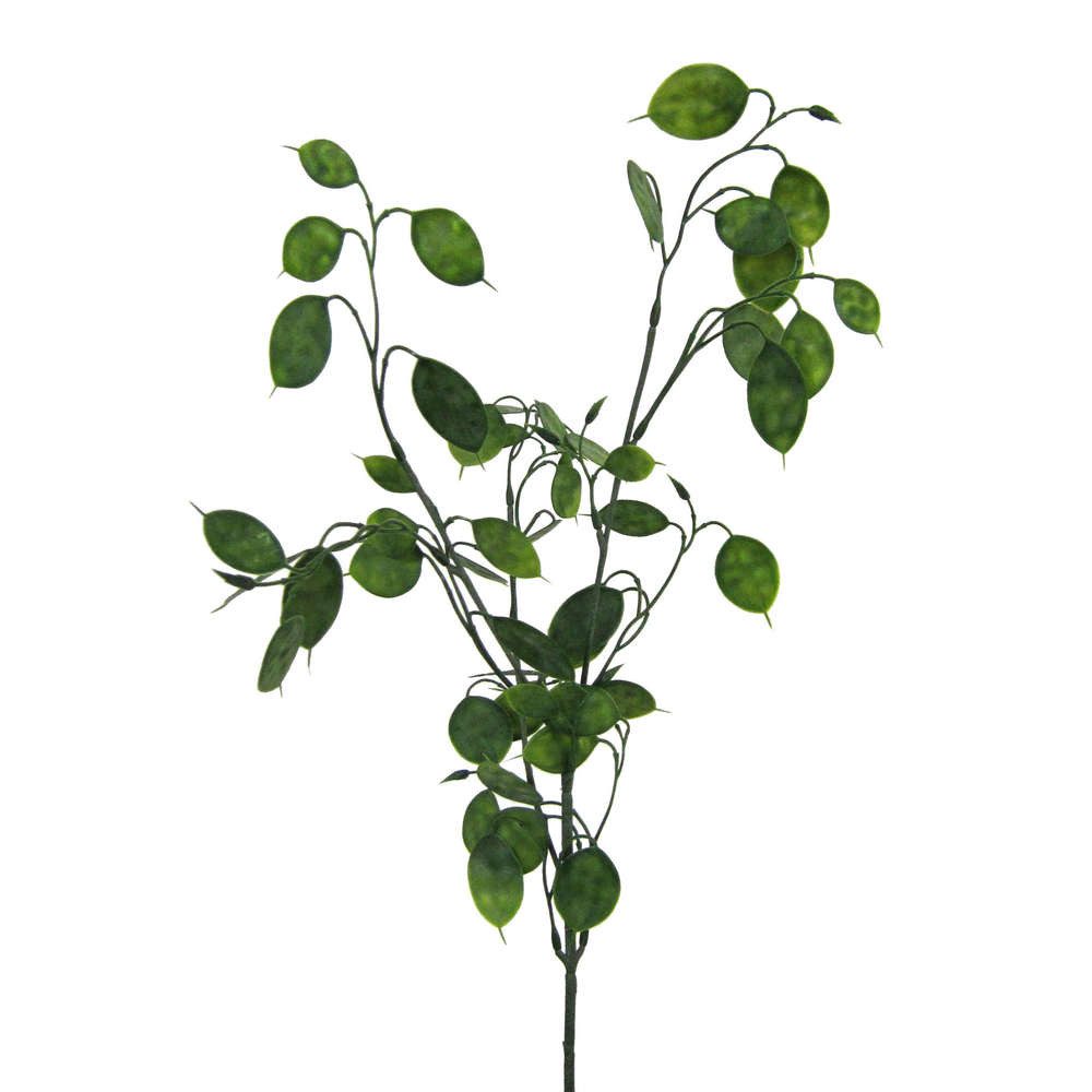 Kunstzweig Kunstpflanze PFENNIGBLATTZWEIG Geldbaum ca 73cm., Gasper, Höhe 73.00 cm