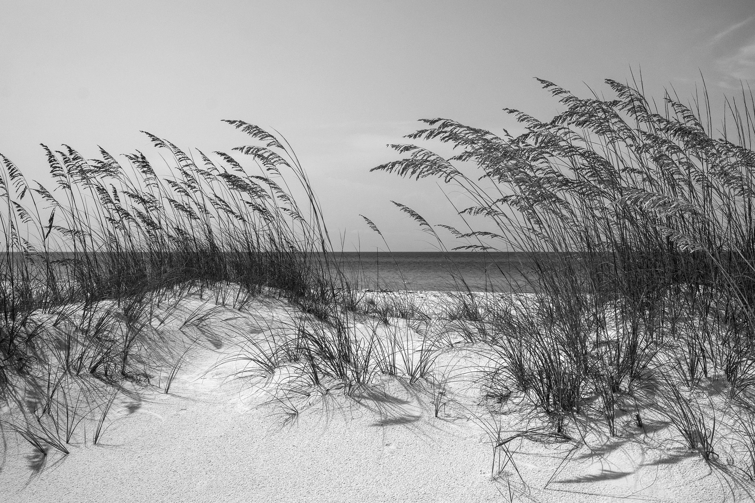 Papermoon Fototapete Strand Schwarz & Weiß