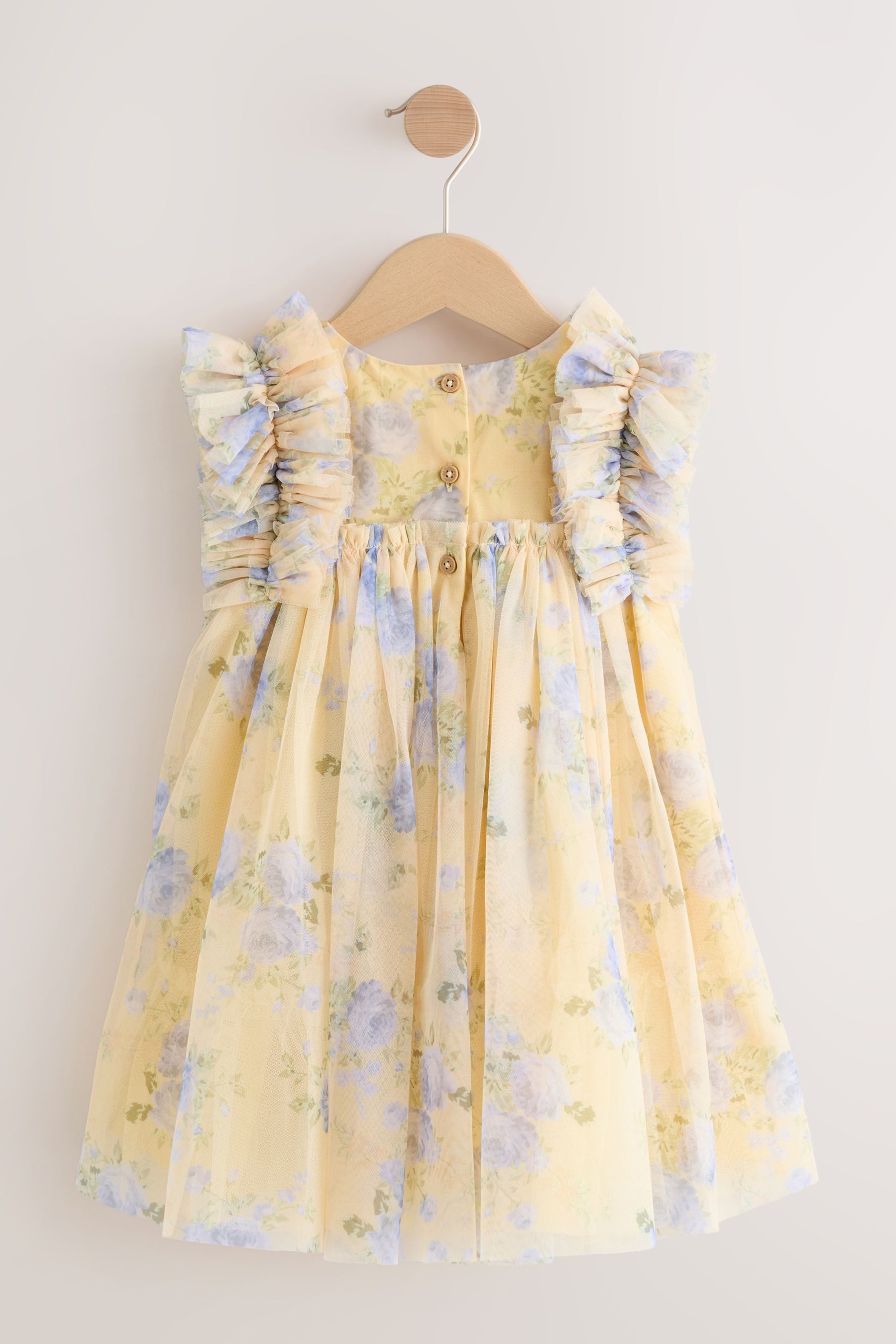 Next Tüllkleid Kleid mit Rüschenschultern und Mesh (1-tlg)