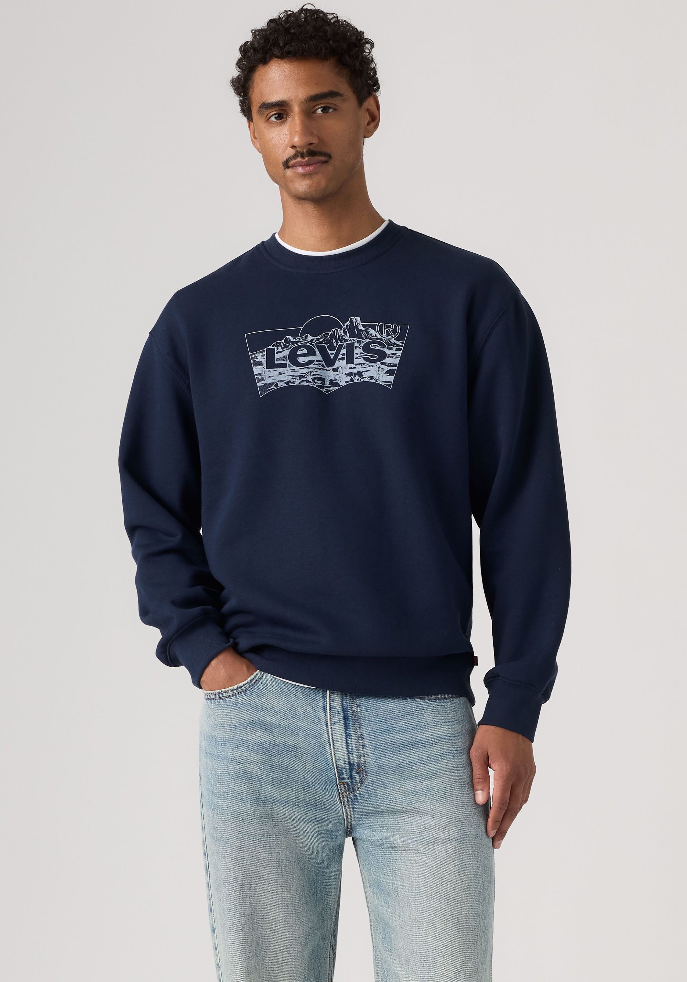 Levi's® Sweatshirt RELAXD GRAPHIC CREW NEUTRALS
