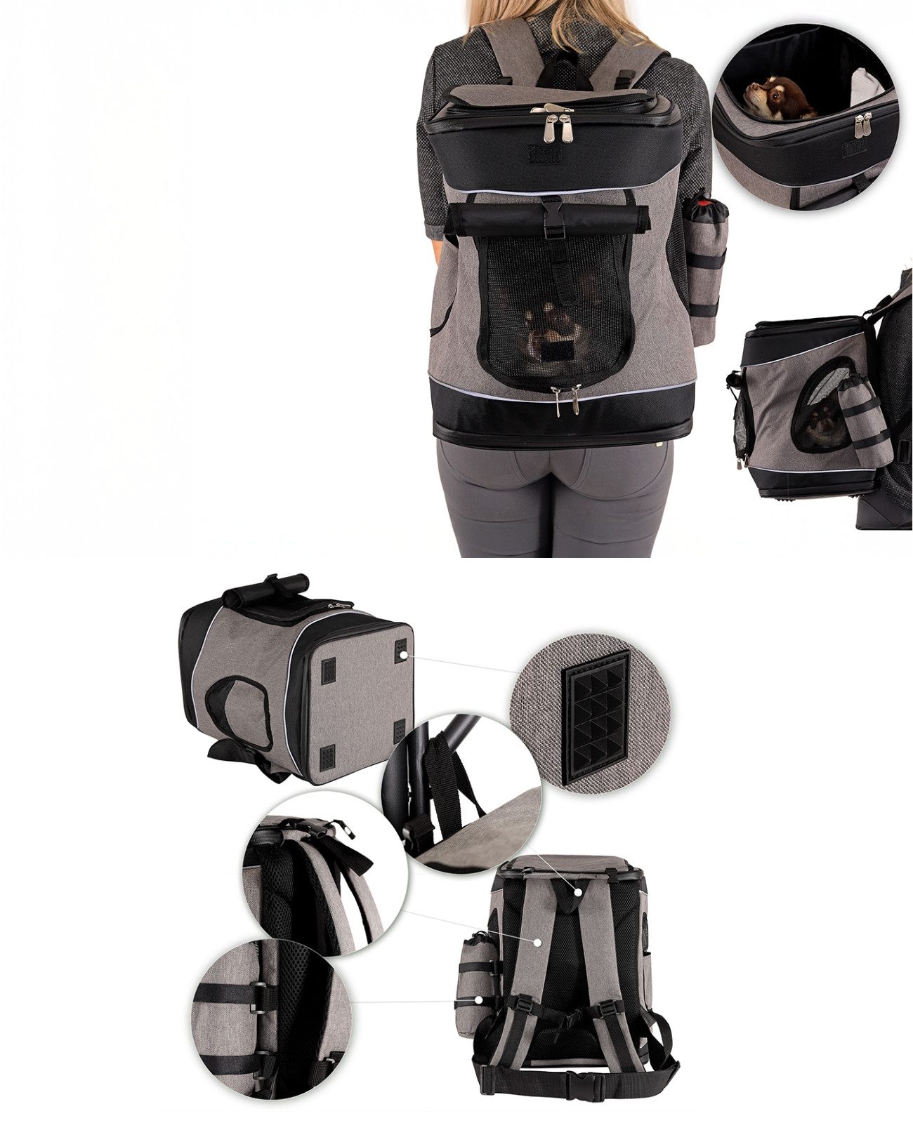 lionto Tiertransporttasche für Katzen, Rucksack wetterfest bis 14 kg, atmungsaktiv, mit Karabiner & herausnehmbarer Unterlage