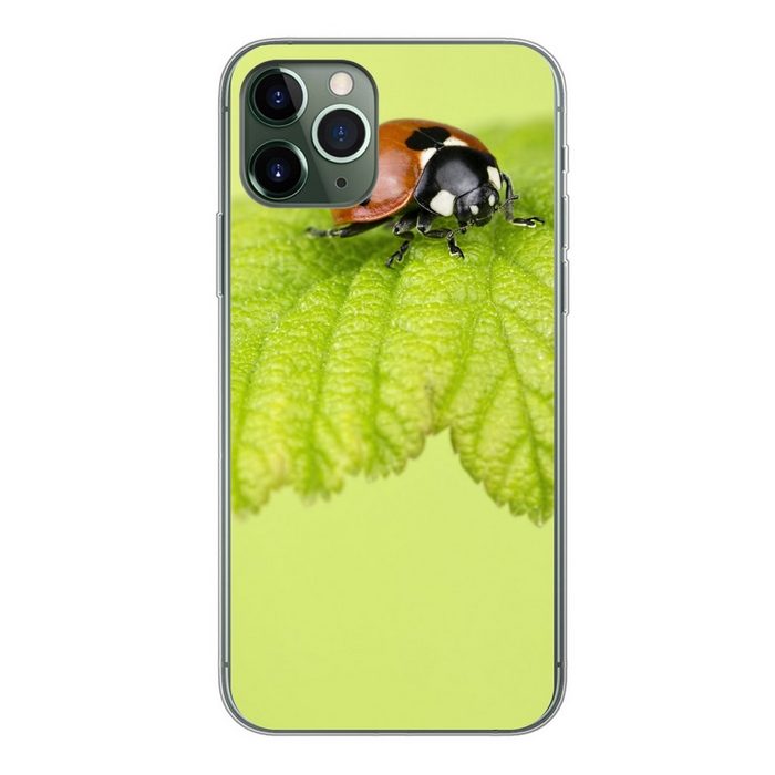 MuchoWow Handyhülle Marienkäfer grünes Blatt Handyhülle Apple iPhone 11 Pro Smartphone-Bumper Print Handy