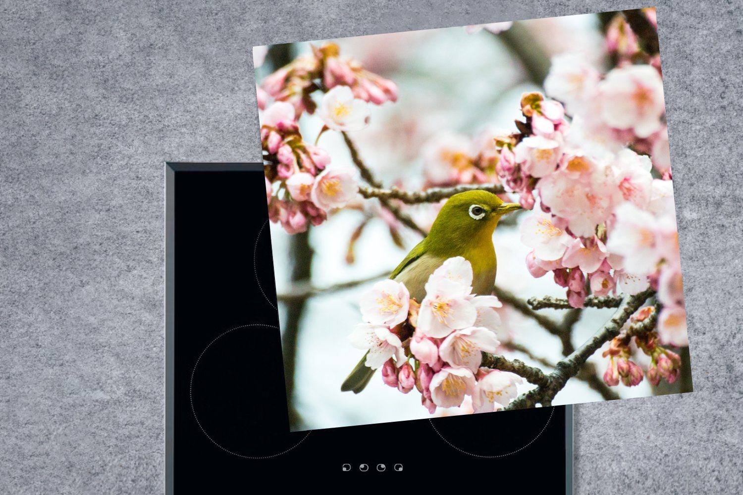 MuchoWow Herdblende-/Abdeckplatte Vogel (1 Vinyl, Grün, cm, - - Rosa Arbeitsplatte Ceranfeldabdeckung, für 78x78 tlg), küche - Kirschblüte