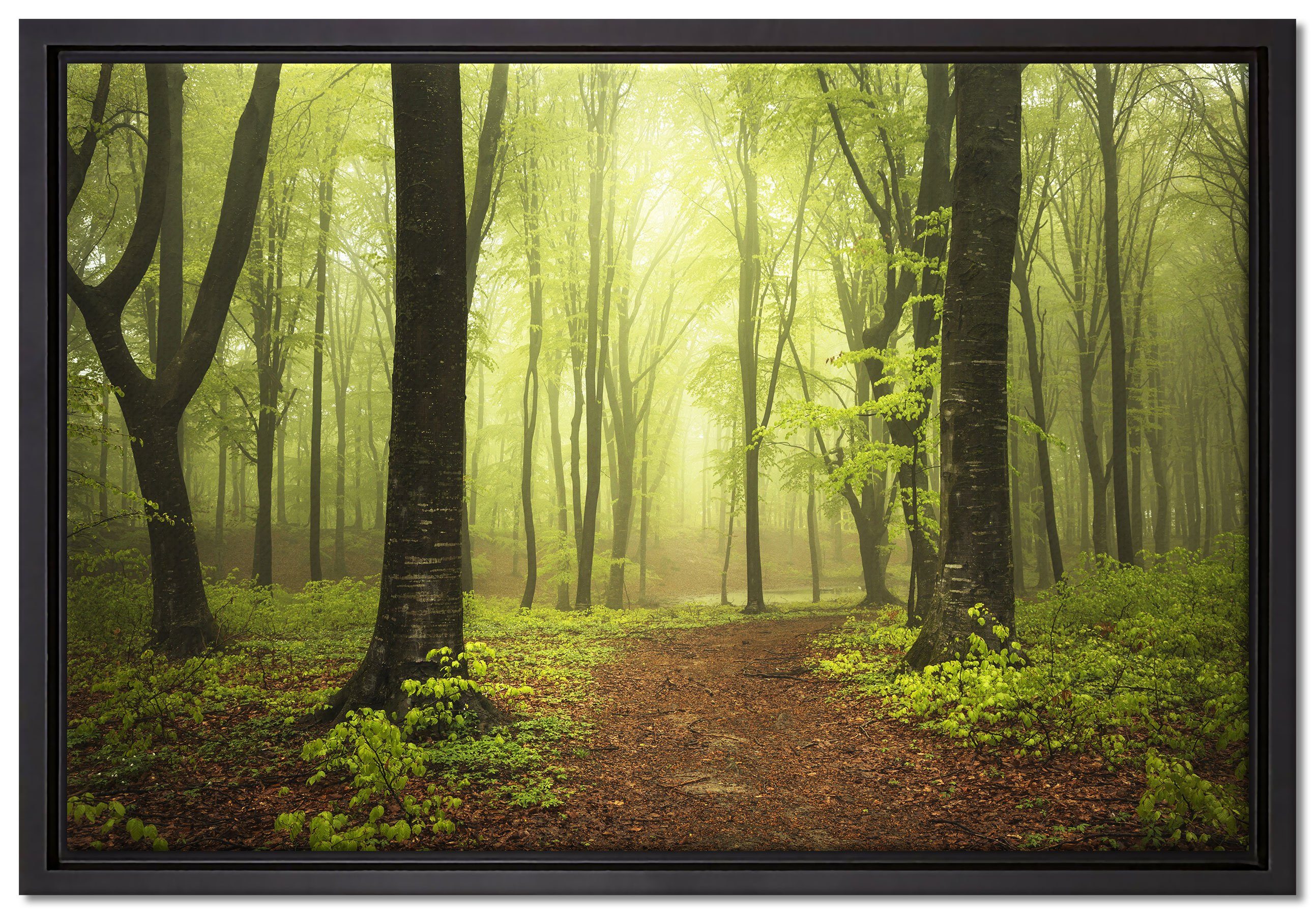 Pixxprint Leinwandbild Weg im Wald, Wanddekoration (1 St), Leinwandbild fertig bespannt, in einem Schattenfugen-Bilderrahmen gefasst, inkl. Zackenaufhänger