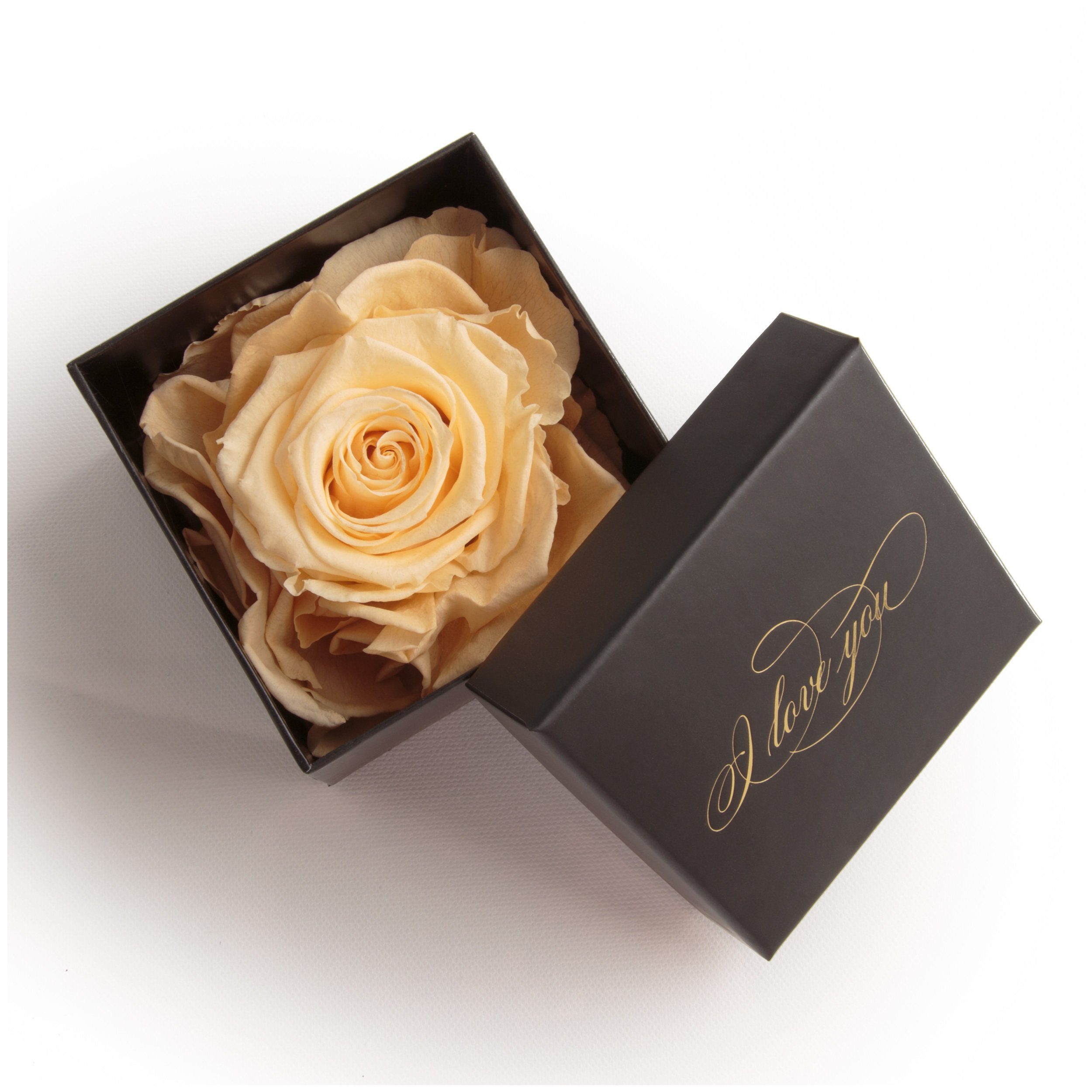 Kunstblume Infinity Rose Box I Love You Geschenk Idee Liebesbeweis Rose, ROSEMARIE SCHULZ Heidelberg, Höhe 6 cm, Echte Rose konserviert Beige