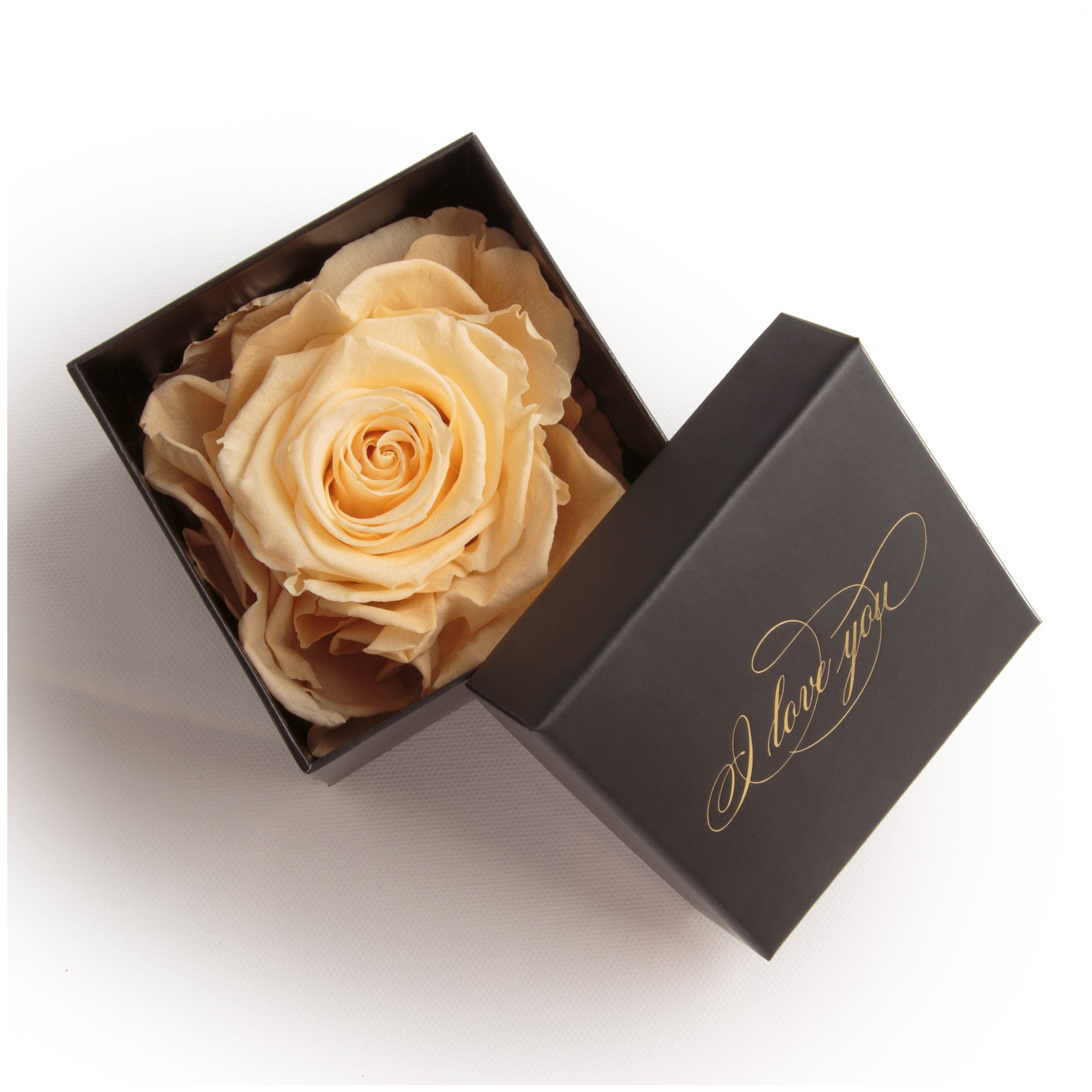 Rose Kunstblume Geschenk Rose, Heidelberg, SCHULZ You Echte Love Idee cm, ROSEMARIE konserviert Liebesbeweis I Höhe Beige 6 Rose Box Infinity