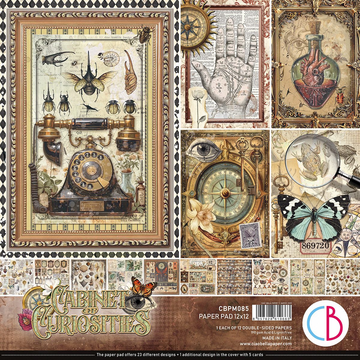 Motivpapier Cabinet of Curiosities