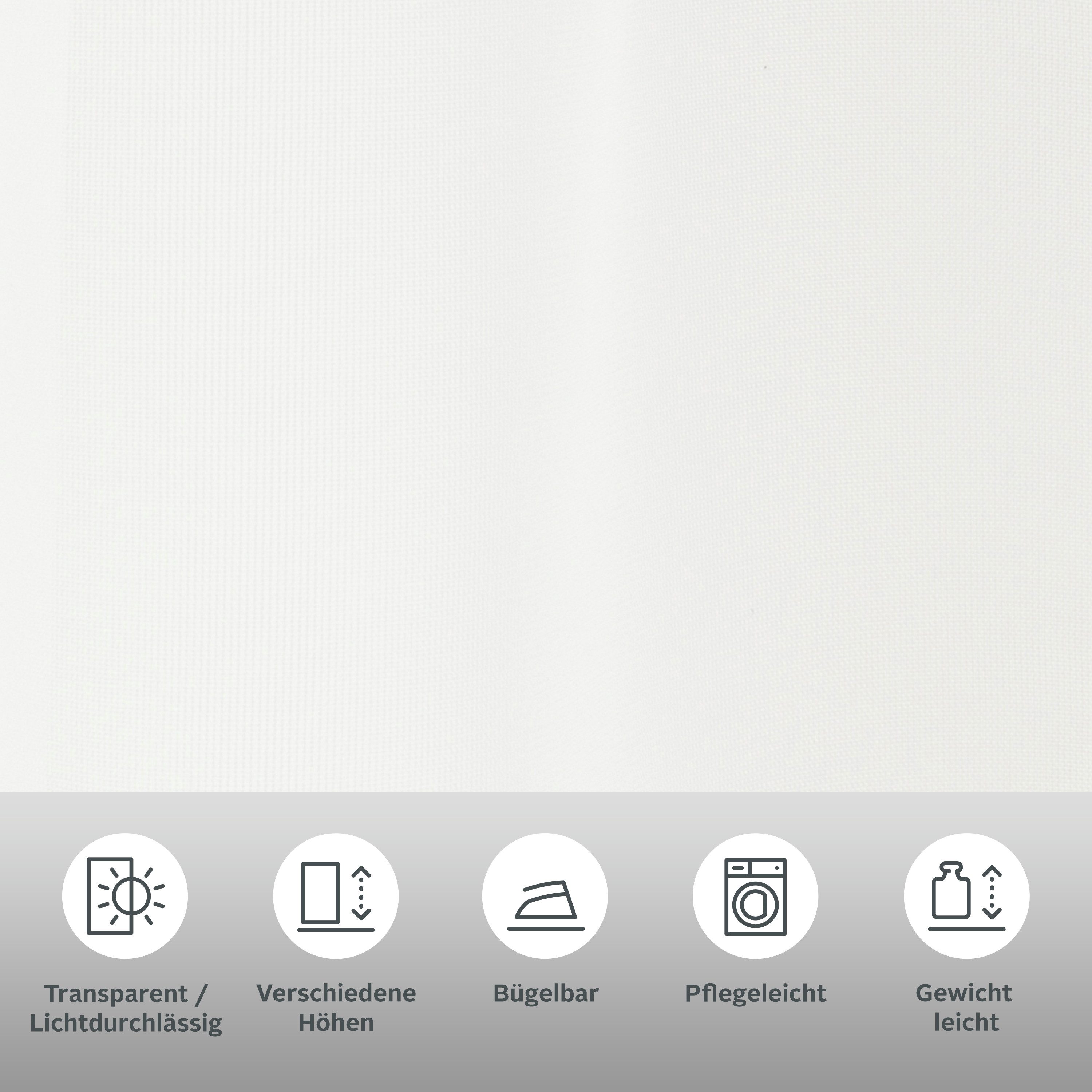 my home Scheibengardine EBY (1 St), Schlaufen, transparent, Voile, Fertigga günstig online kaufen